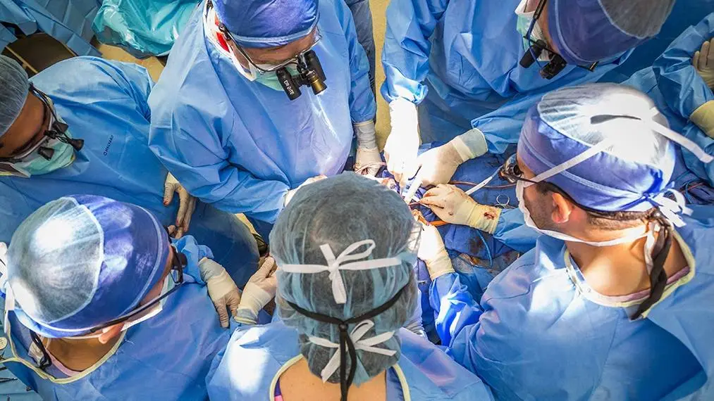 Mayo Clinic Transplant performs record 2,065 organ transplants in 2025