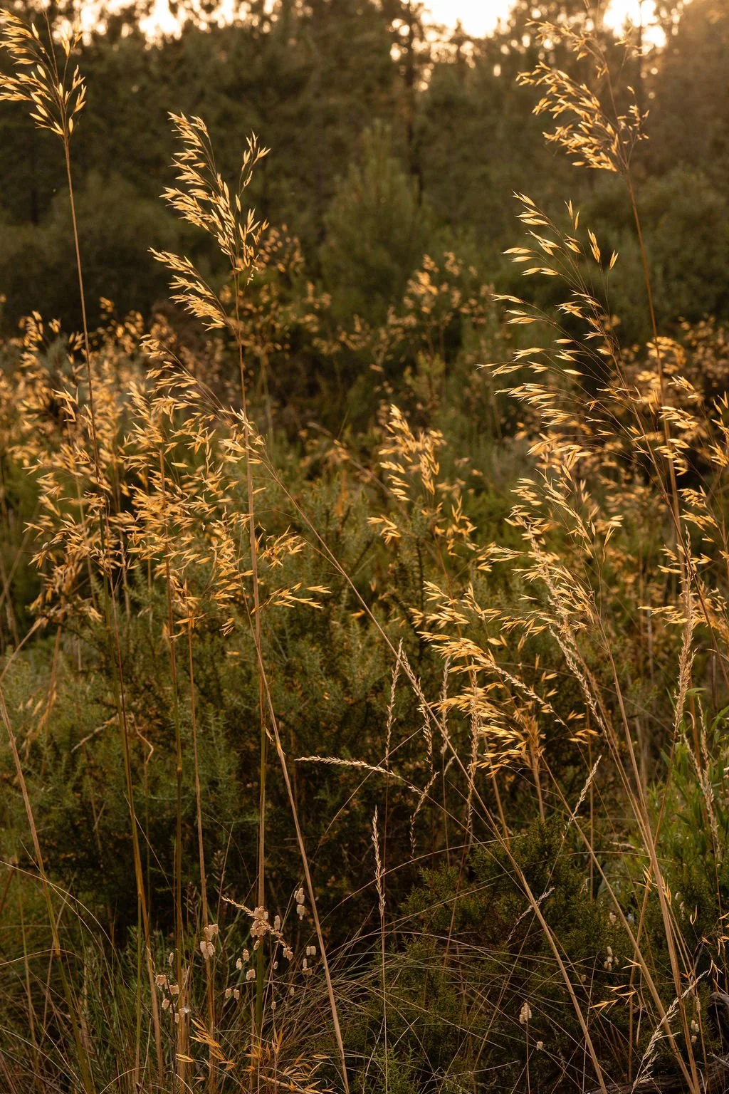 Surroundings_8.jpg