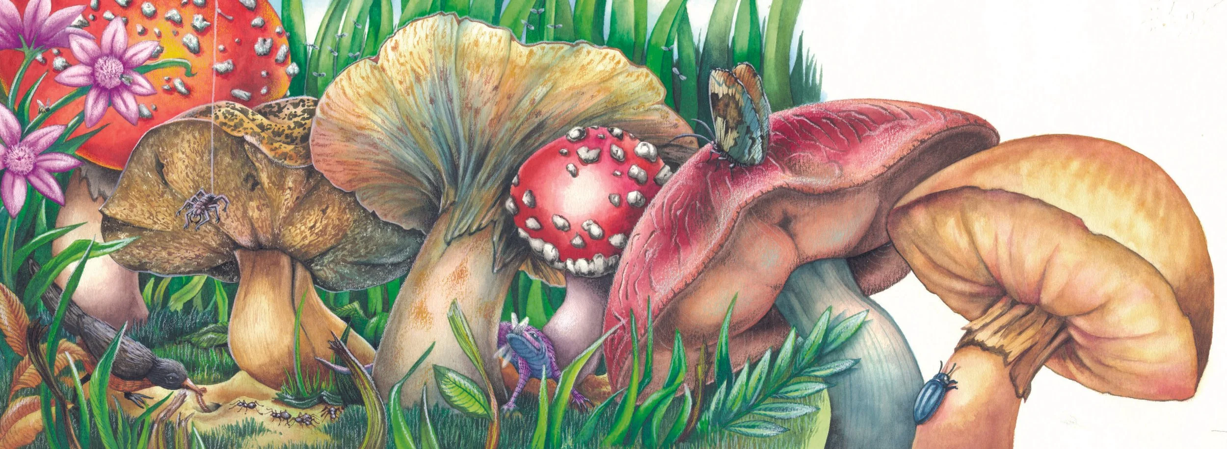 Imaginary Garden (Art Exploration by Marcela Cabrera) - Technique: Watercolor