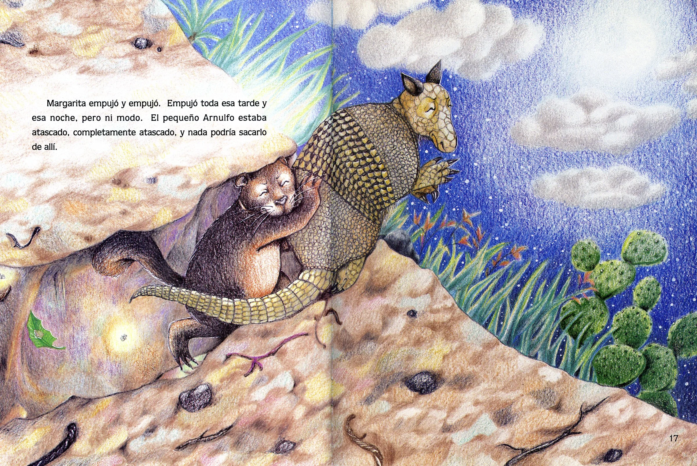 Book Title: El dia que el armadillo vió a su sombra by Carmen Tafolla Published 1992. © Houghton Mifflin Co (USA) Illustration by Marcela Cabrera - Technique: Color Pencils