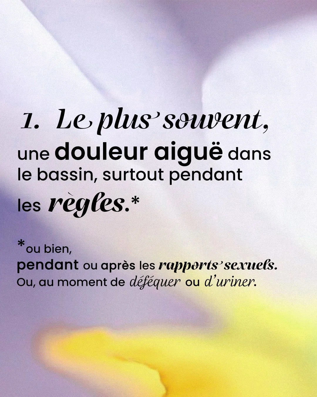 Plan de travail 1.jpg