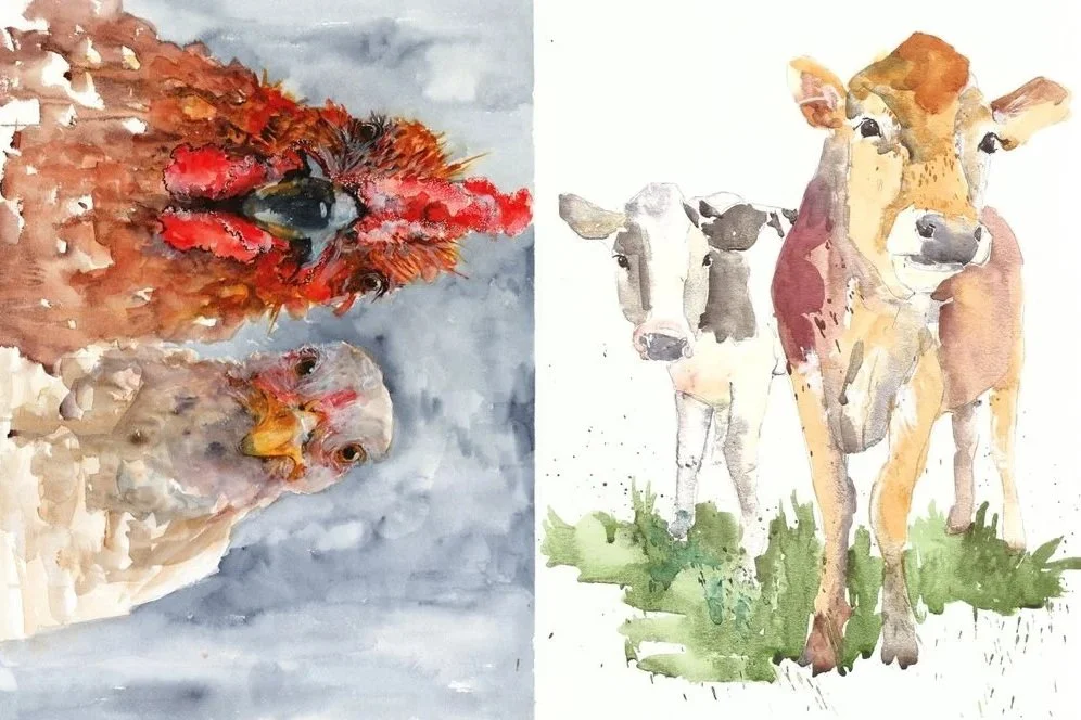 Farm+Animals.jpg