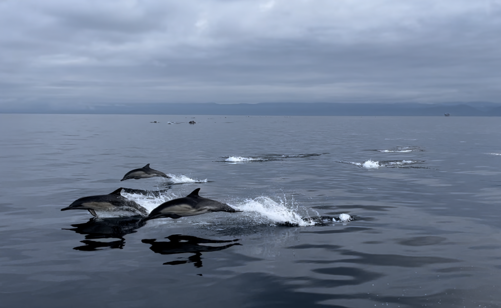 Channel Islands
