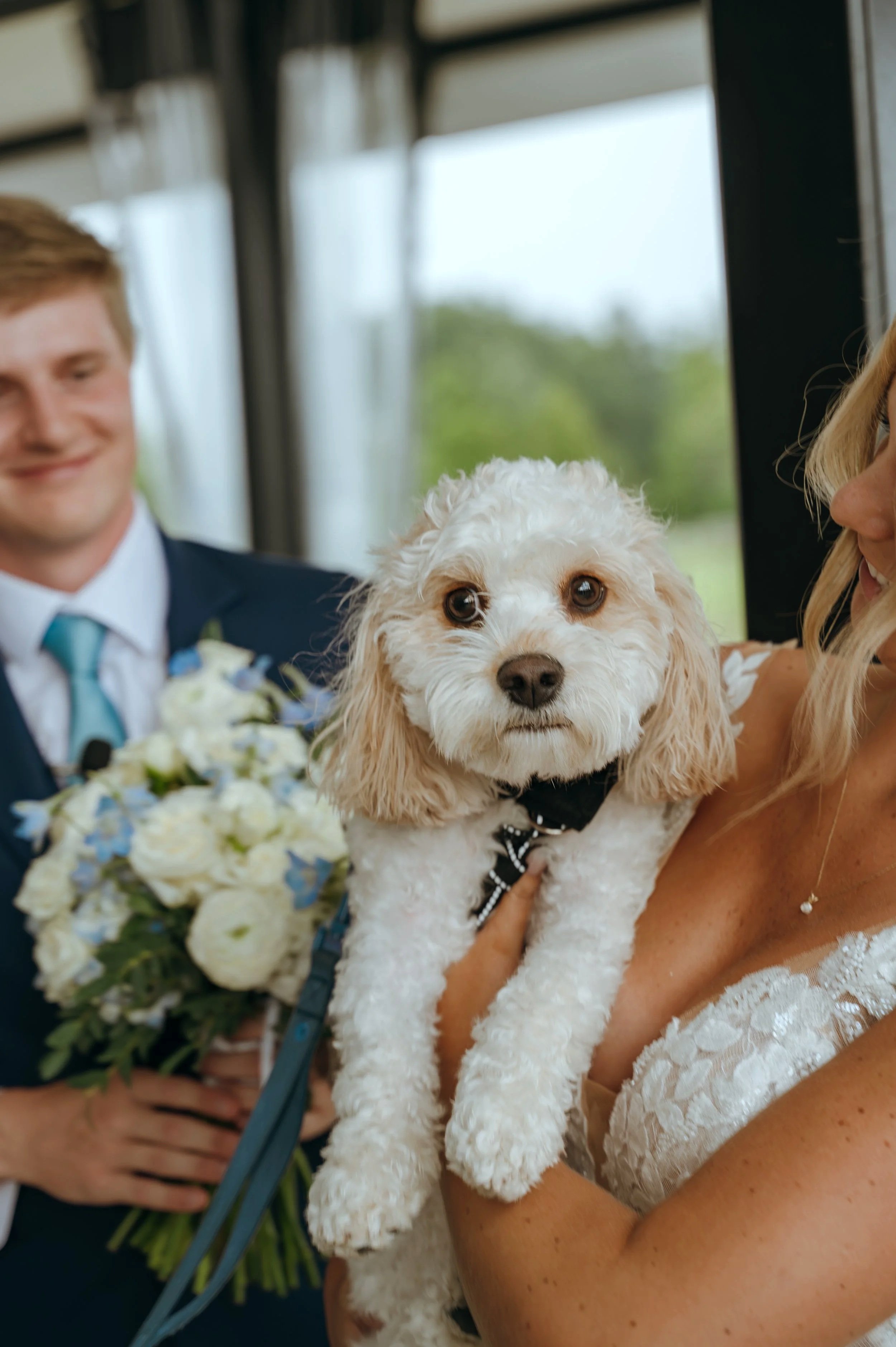 Sydney holds their dog while Matt smiles beside them after their wedding ceremony in Petoskey, Michigan.
