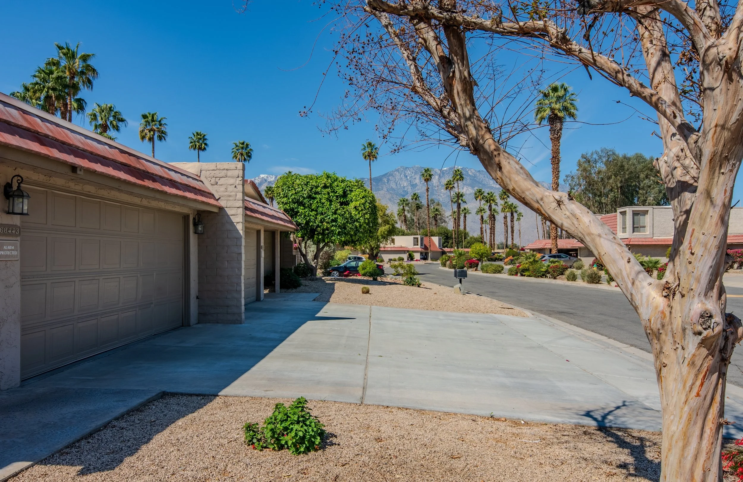 We're Focused 68443 Paseo Real-29.jpg