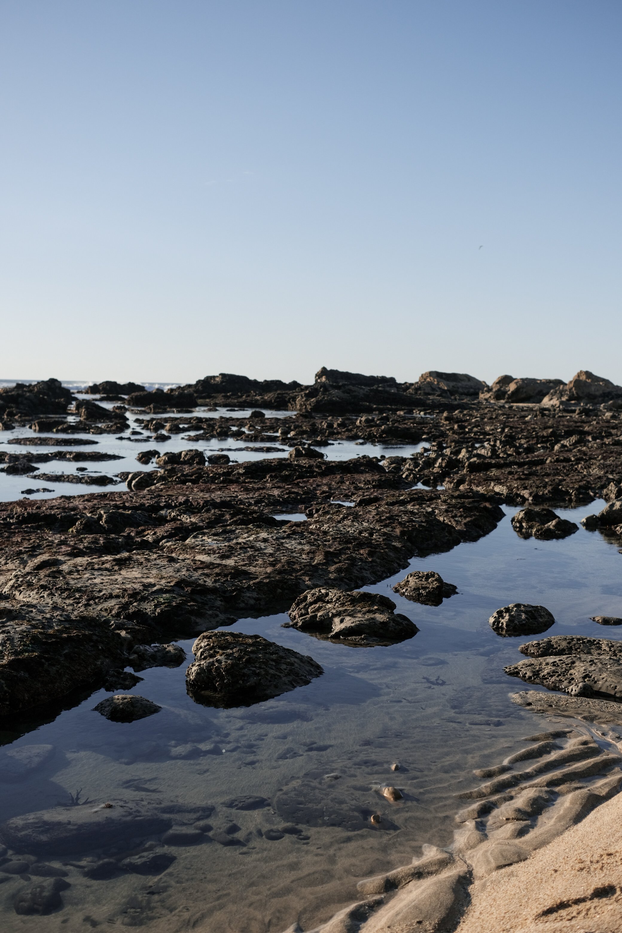 DSCF5346.JPG