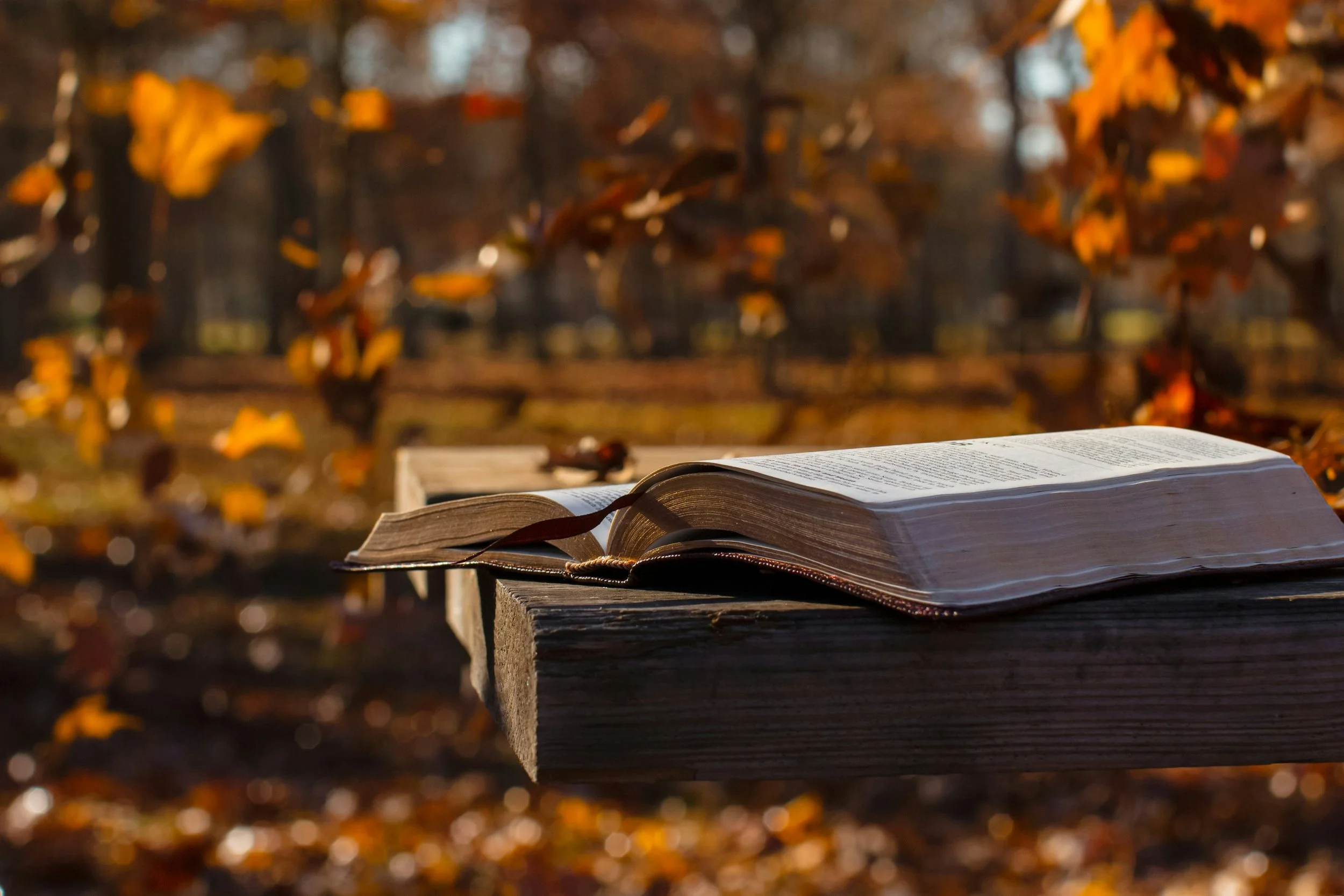 Stay Ready: Why Daily Scripture Reading Matters
