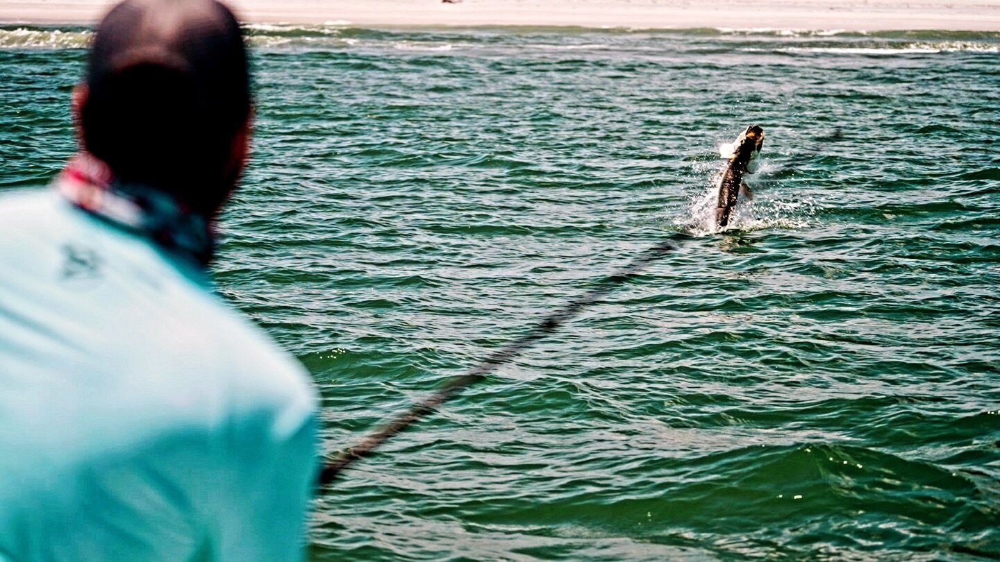 When it&rsquo;s nasty and cold outside and everyone across the nation is feeling it! And you&rsquo;re feeling like it&rsquo;s your duty to step up to the plate and deliver something HOT to #instagram public!!! 
 Simply put a tail walking tarpon it is