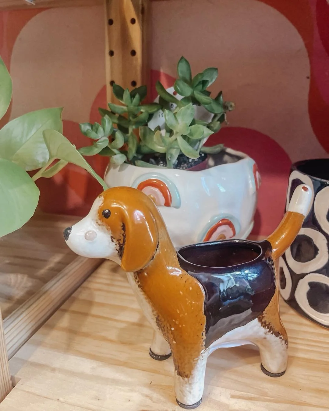 We love funky planters here at Sala de Soul! Come find your plant a home today! 🪴