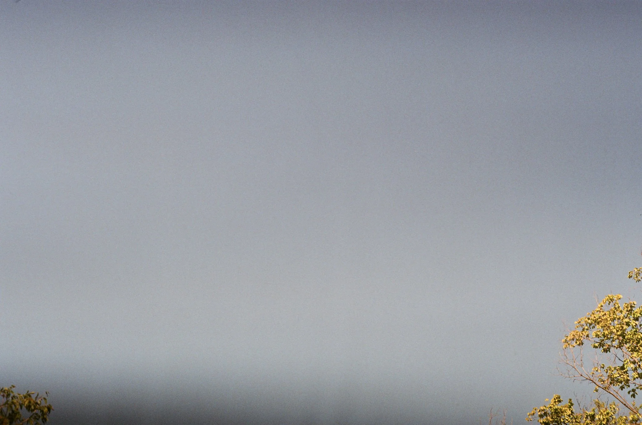 THE PARALYZING EFFECTS OF FEAR AND SELF-LOATHING