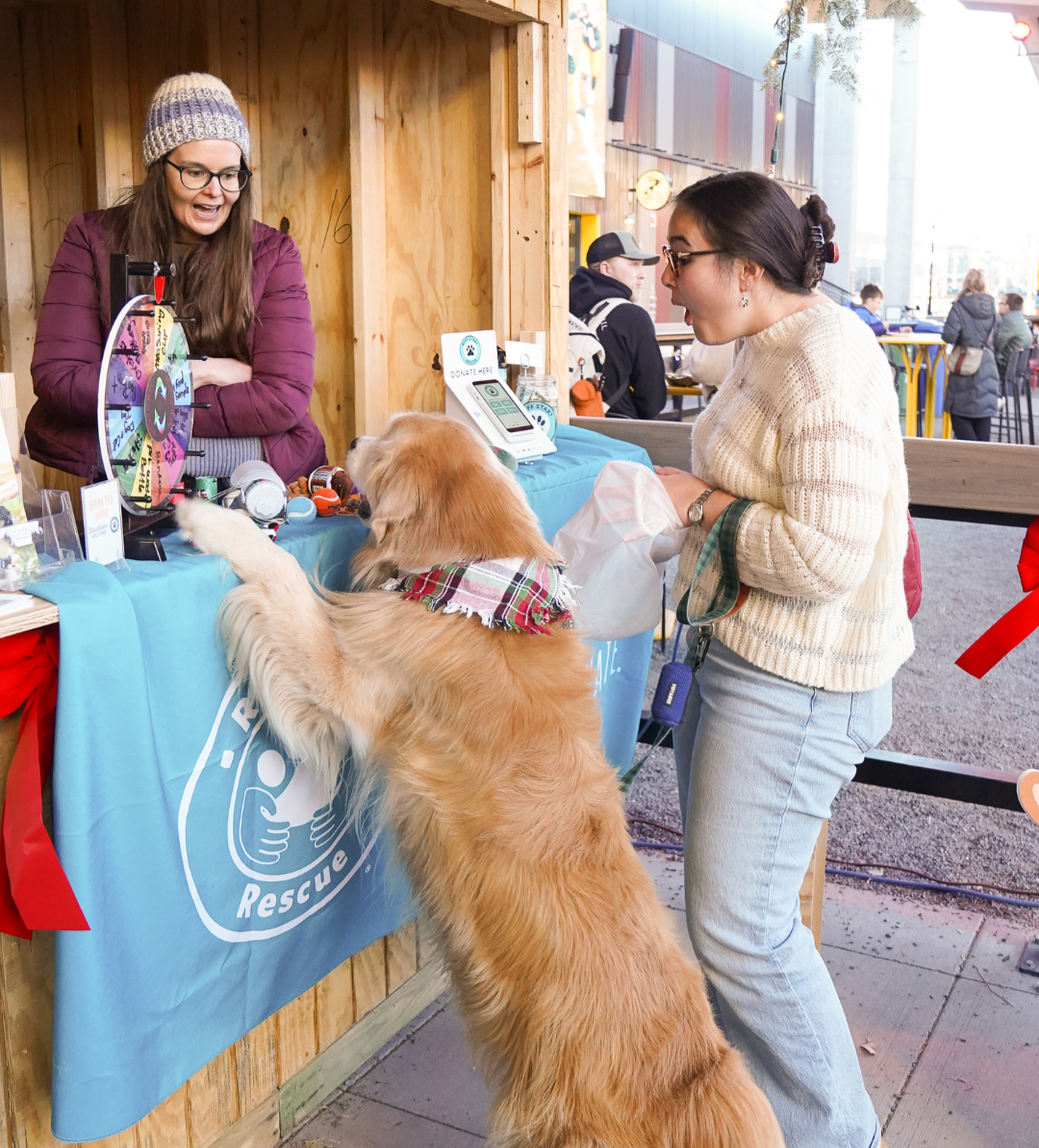 Dog Day in Collaboration with Ruff Start Rescue