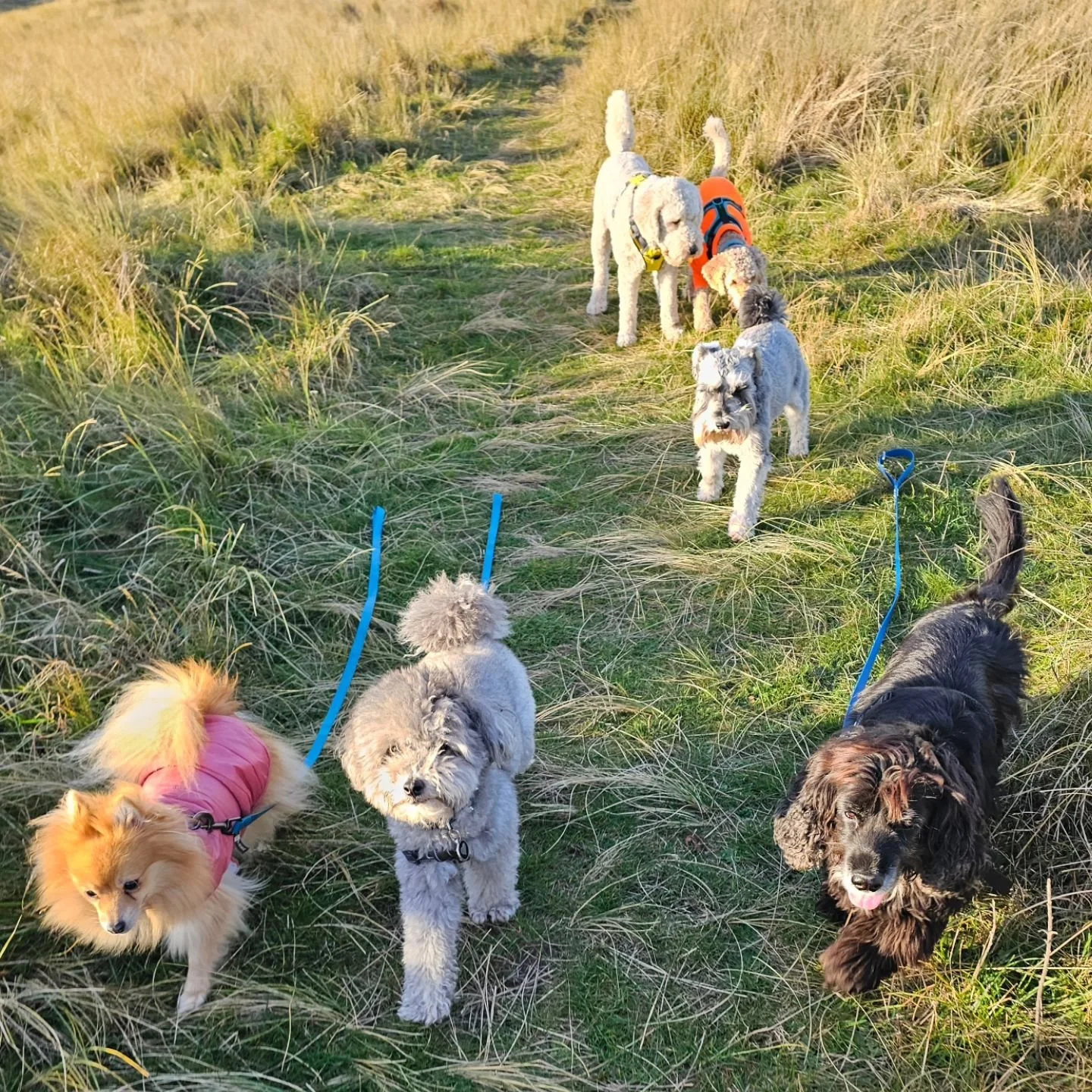 Wednesday's adventurers enjoying the frosty Yellowcraig tundra.