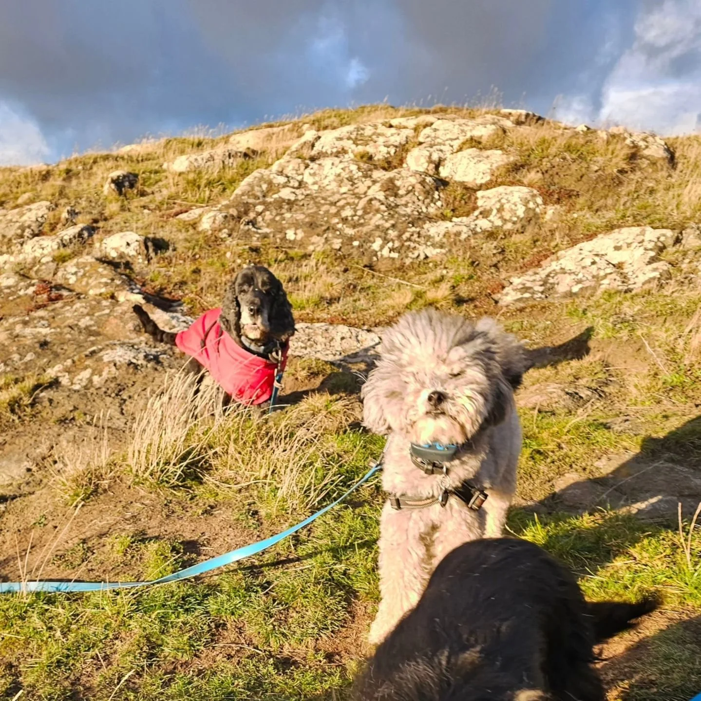 Byron: &quot;We made it to base camp, chaps. Next stop, the summit!&quot;

Murphy: &quot;[Sniff] I take it he knows this is Gullane Hill? Not the bloody Eiger!&quot;
