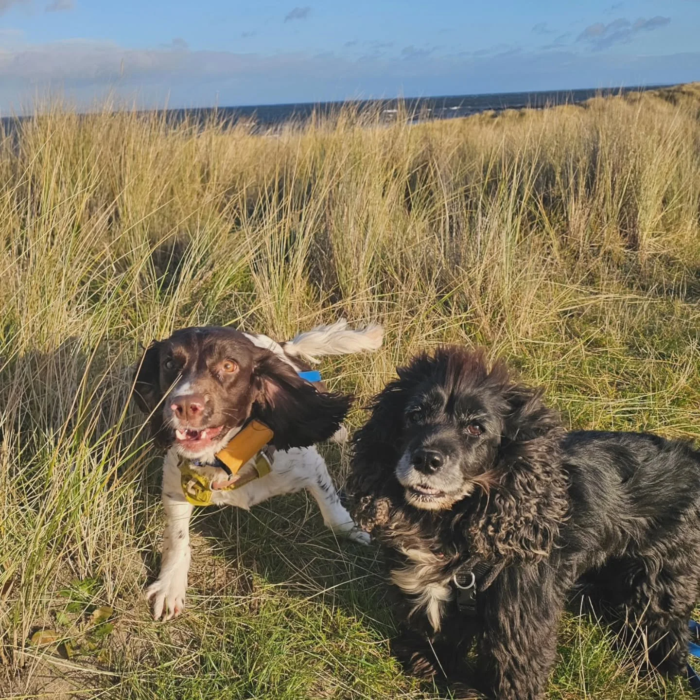 Monday's (belated) snaps.