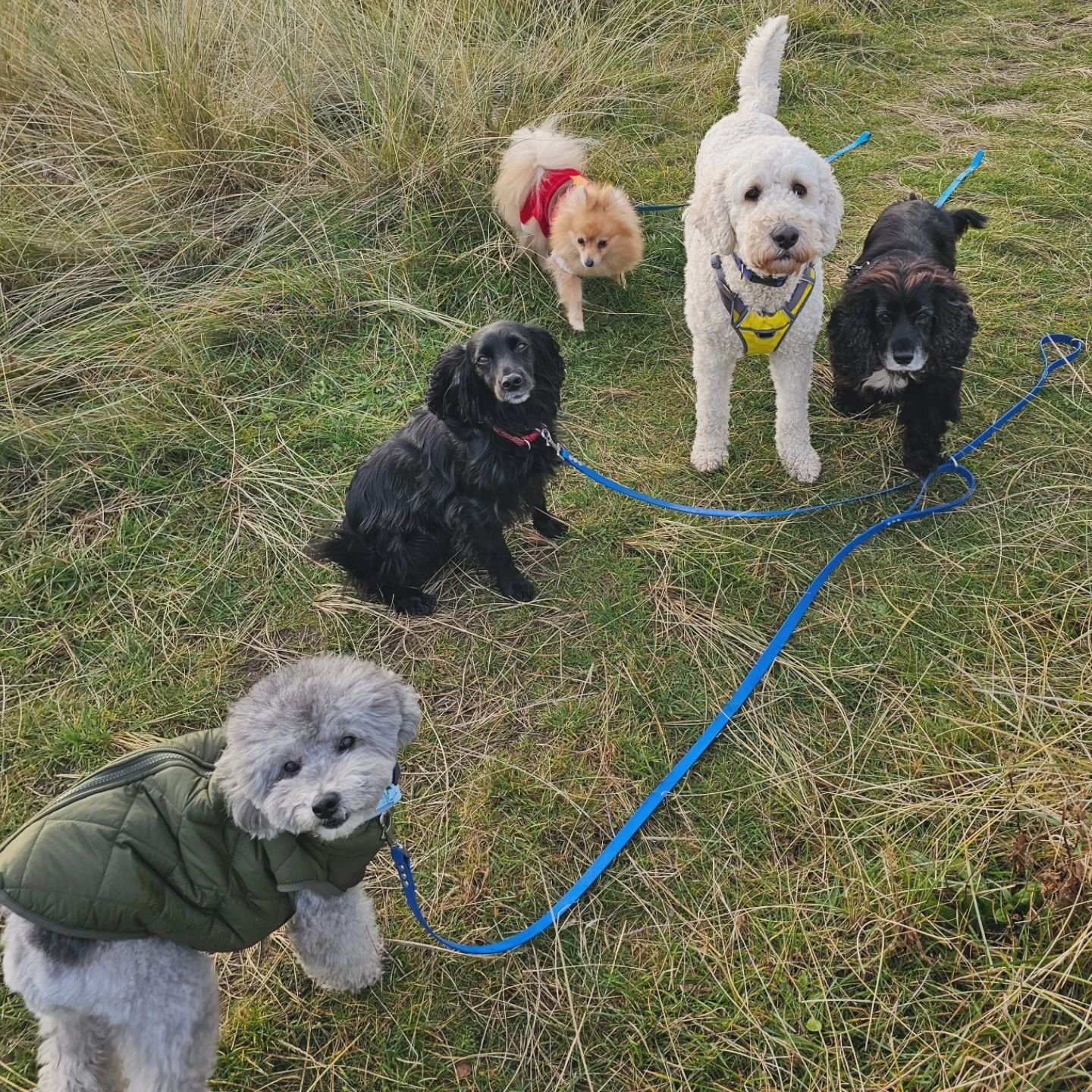 The Wednesday Fashion Brigade.