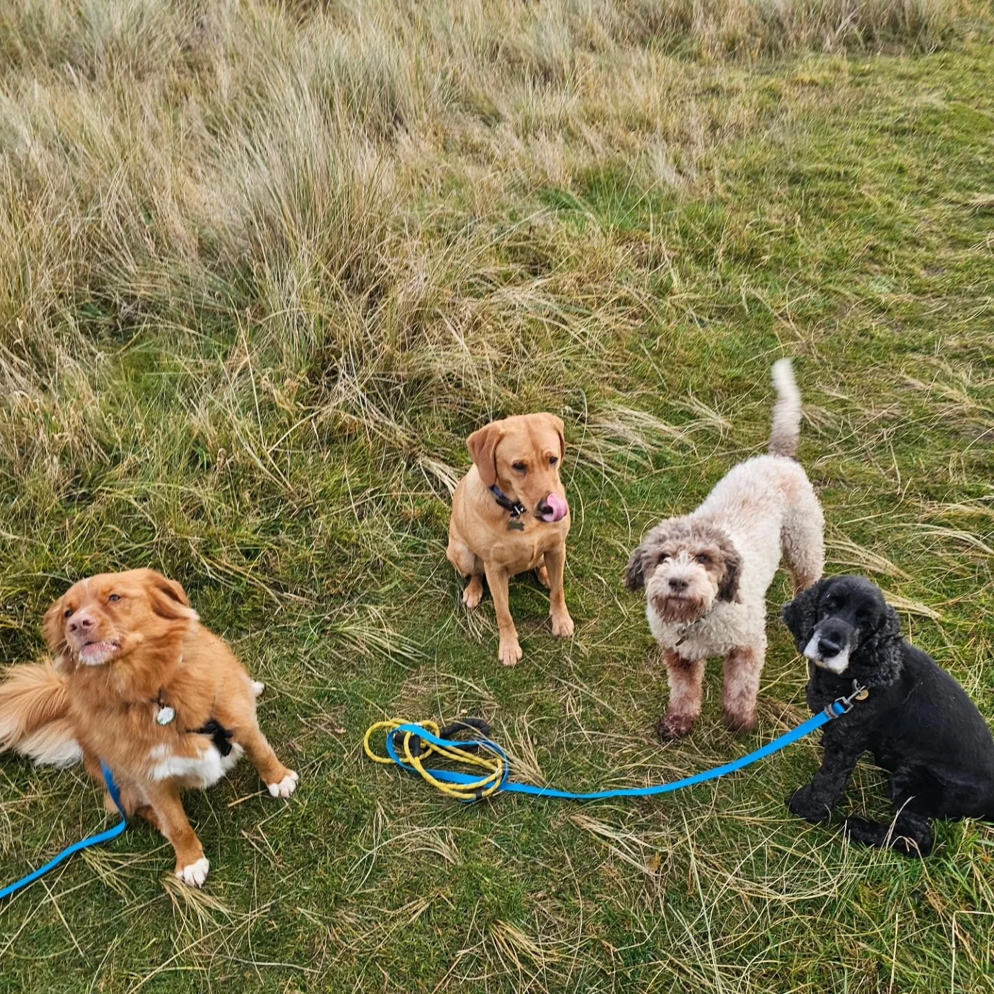 Happy Friday, one and all!