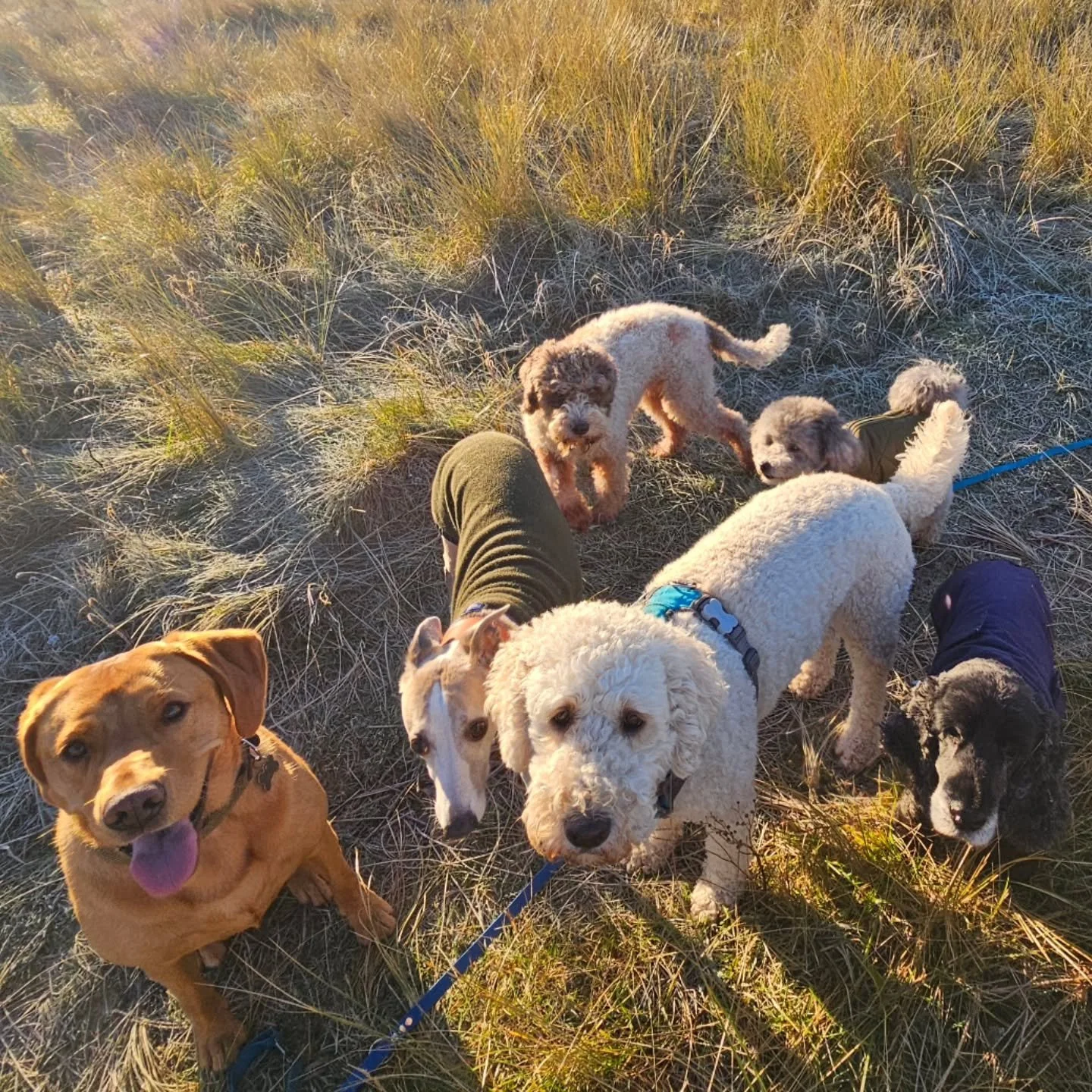 According to the nursery rhyme, &quot;Thursday's child has far to go&quot;. Well, some of Thursday's children here just went too far! You know who you are... 😇