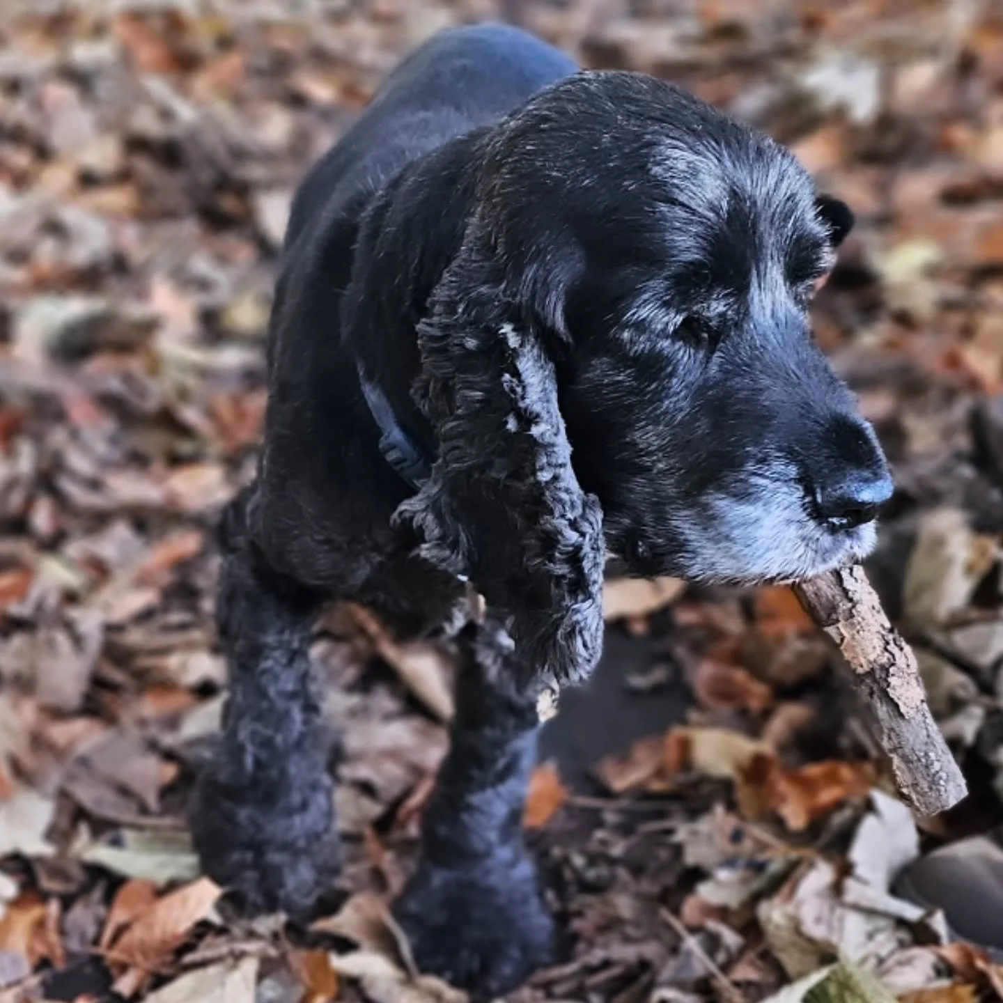 Perhaps it's time to try vaping instead.