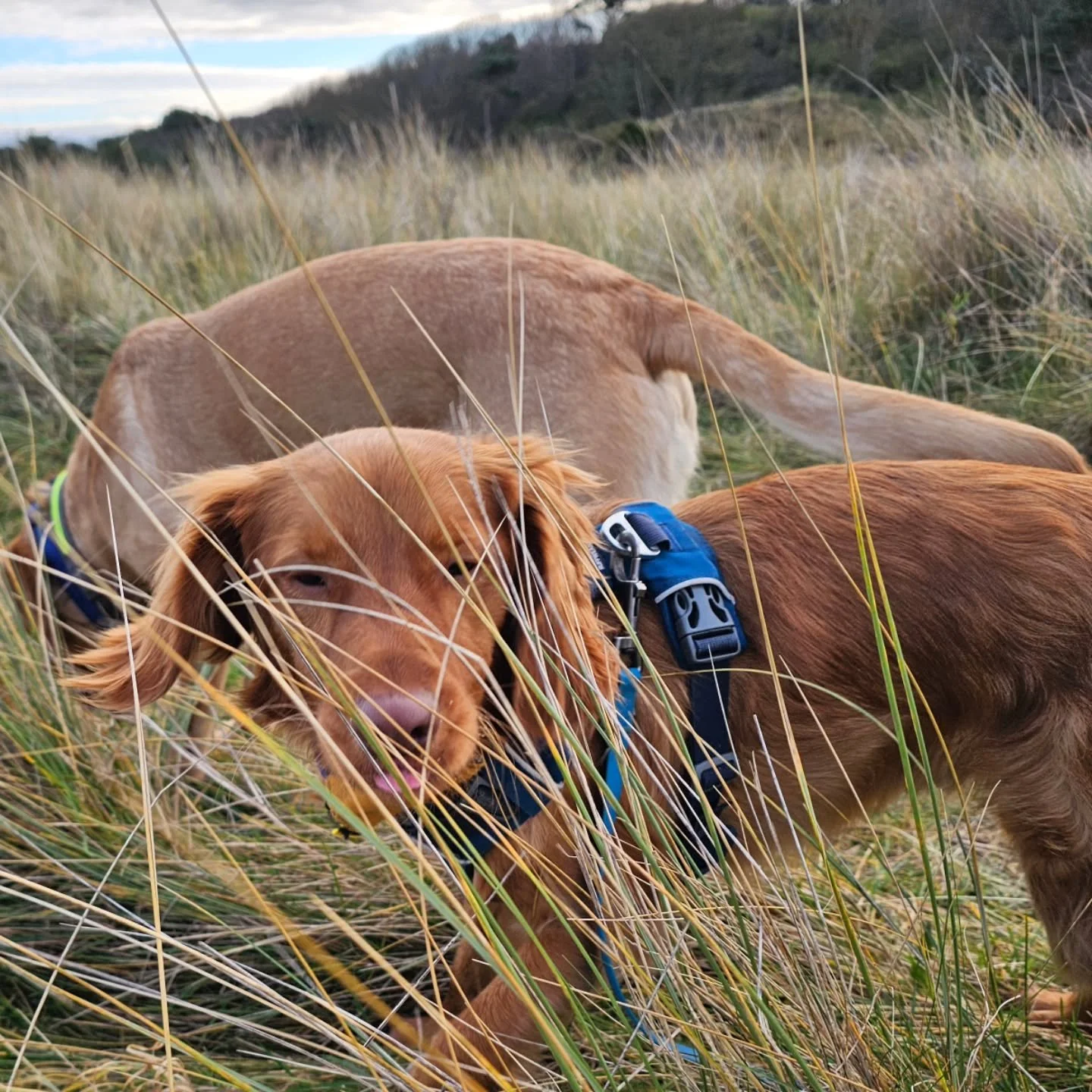 International man of mystery and master of disguise.
