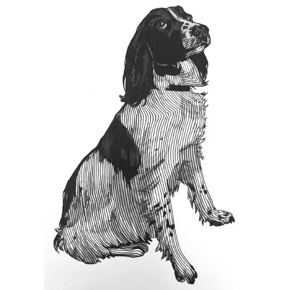 Untitled - 6 November 2025 07.45.jpeg