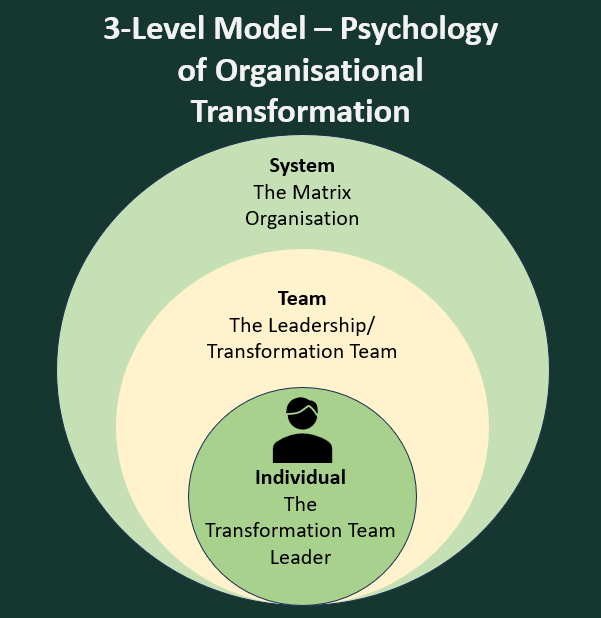 Three-level model of the psychology of organisational transformation in matrix organisations showing the individual transformation leader, the leadership or transformation team, and the wider matrix system.
