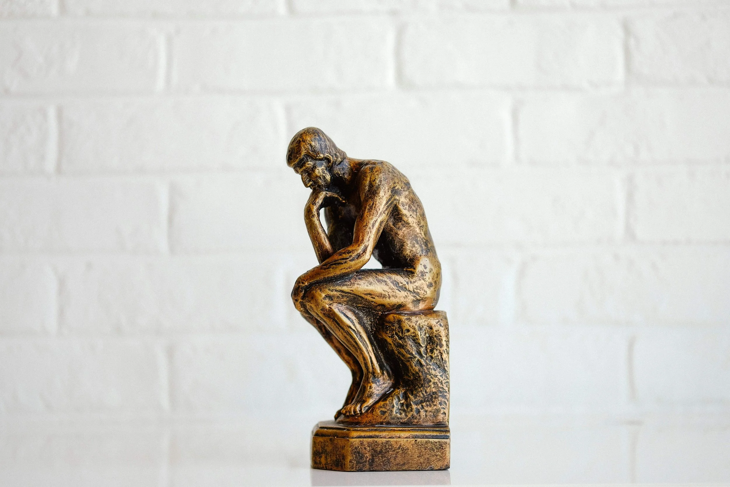 What Makes a Successful CEO? Why Getting Selected and Succeeding Are Not the Same Thing