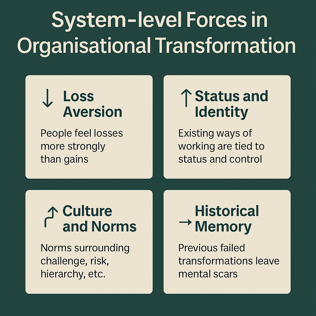 Infographic titled “System-level forces in organisational transformation” showing four forces: loss aversion, status and identity, culture and norms, and historical memory, each with a short description.