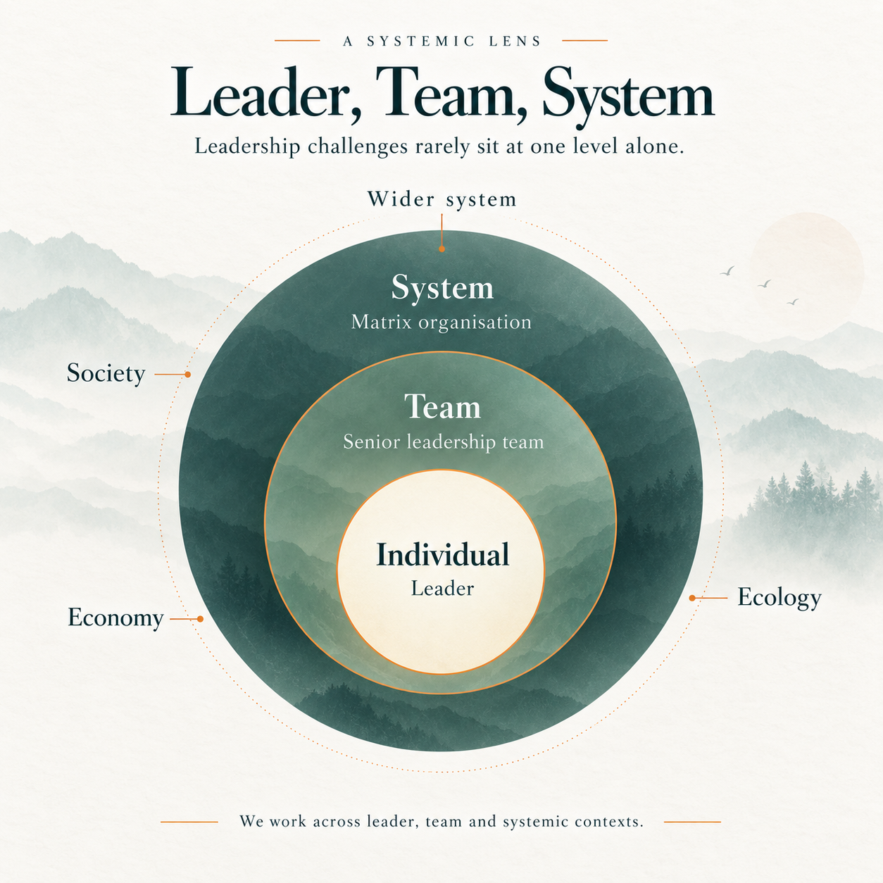 Leader, team and wider system model showing how leadership challenges are shaped by individual, team and organisational context.