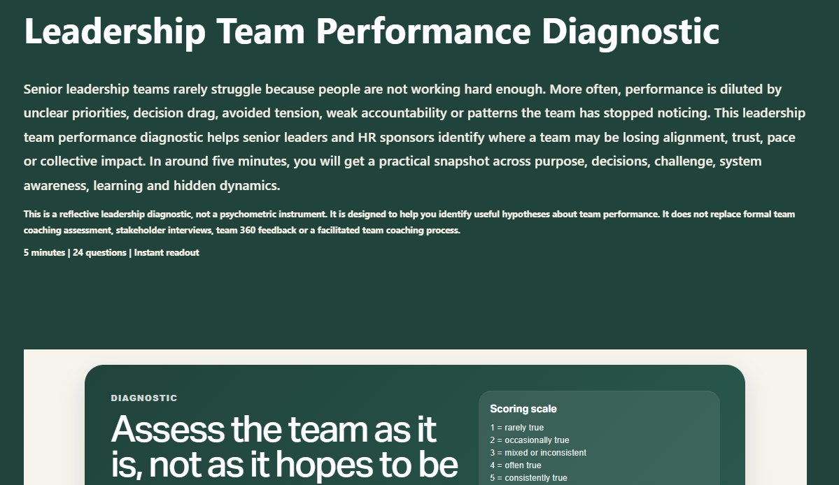 Leadership Team Performance Diagnostic for senior teams, showing a reflective assessment of alignment, trust, decision quality and team dynamics.