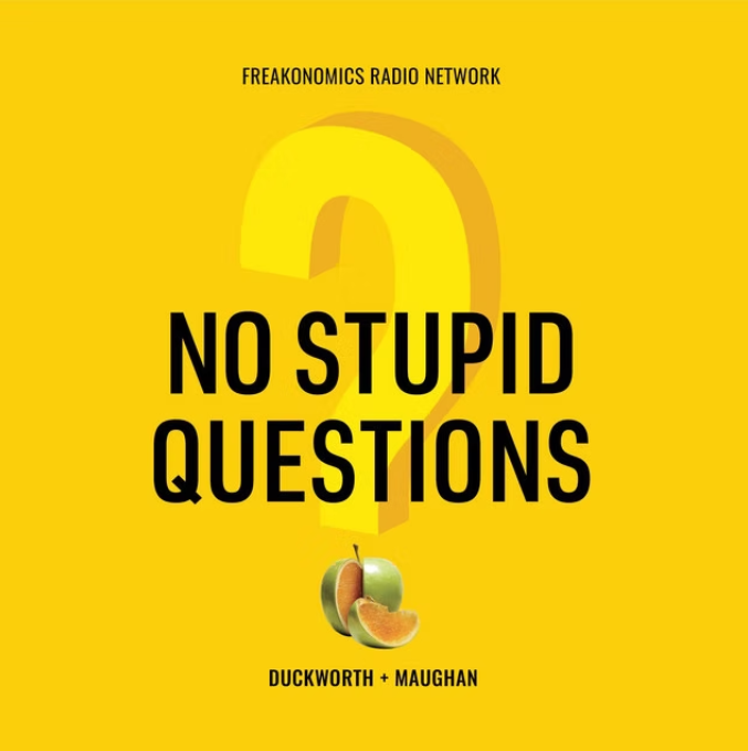 Bright yellow No Stupid Questions podcast logo with large question mark.