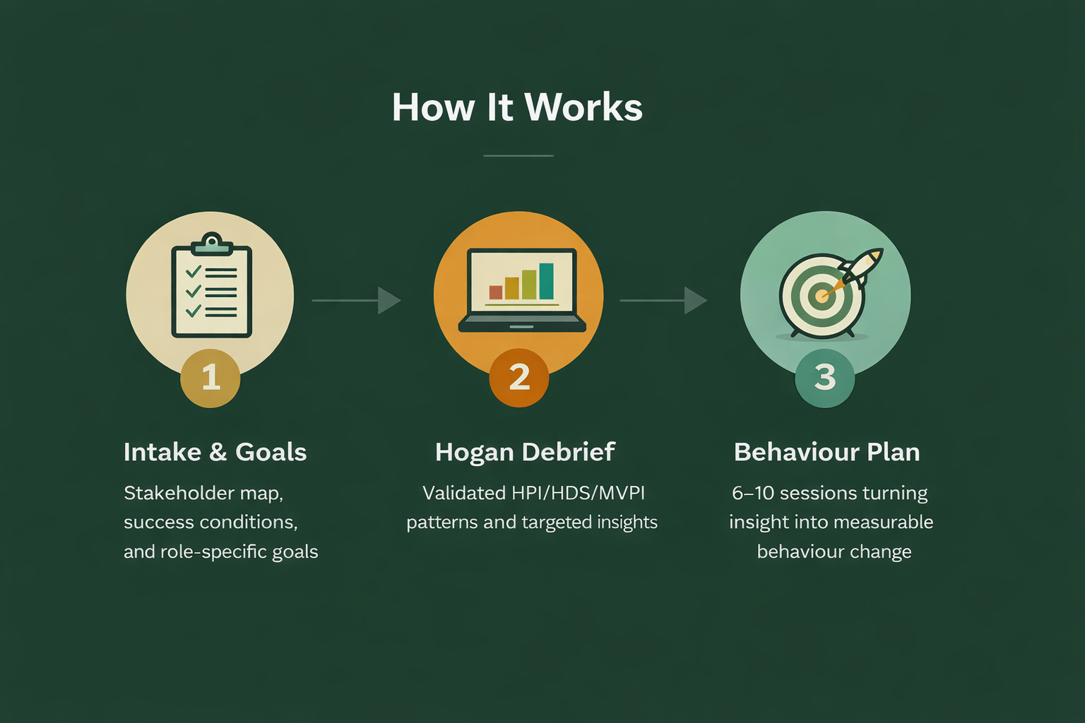 Three-step Hogan coaching process: intake and goals, Hogan HPI/HDS/MVPI debrief, and behaviour plan with executive coaching sessions