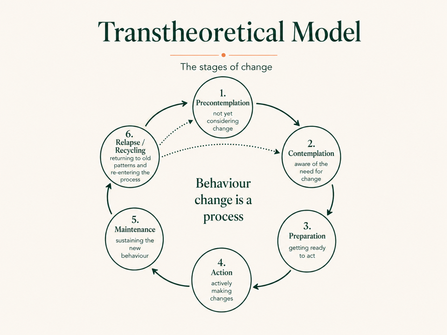 Circular diagram of the Transtheoretical Model showing the stages of change: precontemplation, contemplation, preparation, action, maintenance and relapse or recycling.