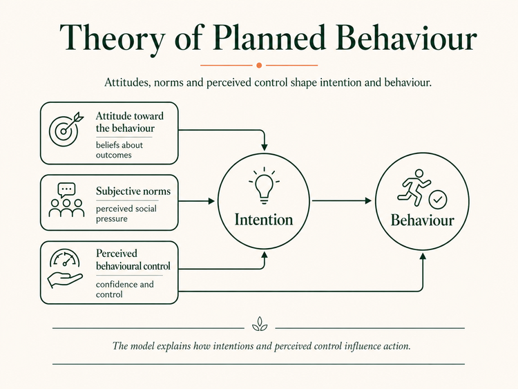 Top 5 Behavior Change Models for Personal Transformation | Eve Coaching ...