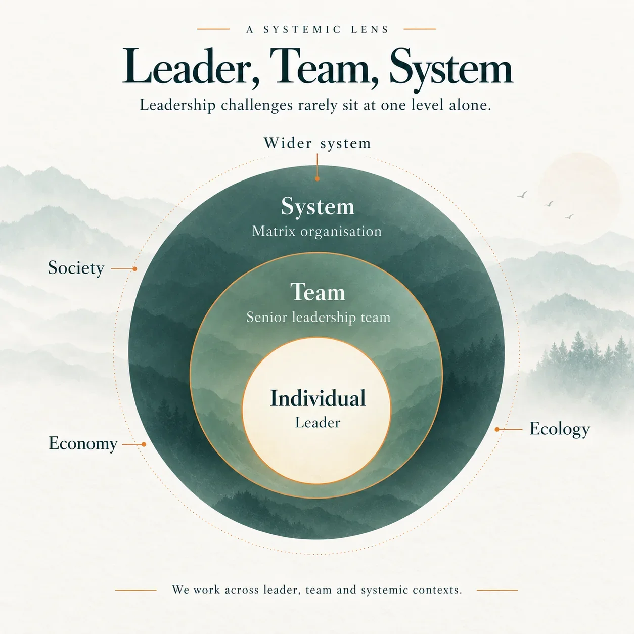 Leader, team and wider system model showing how leadership challenges are shaped by individual, team and organisational context.
