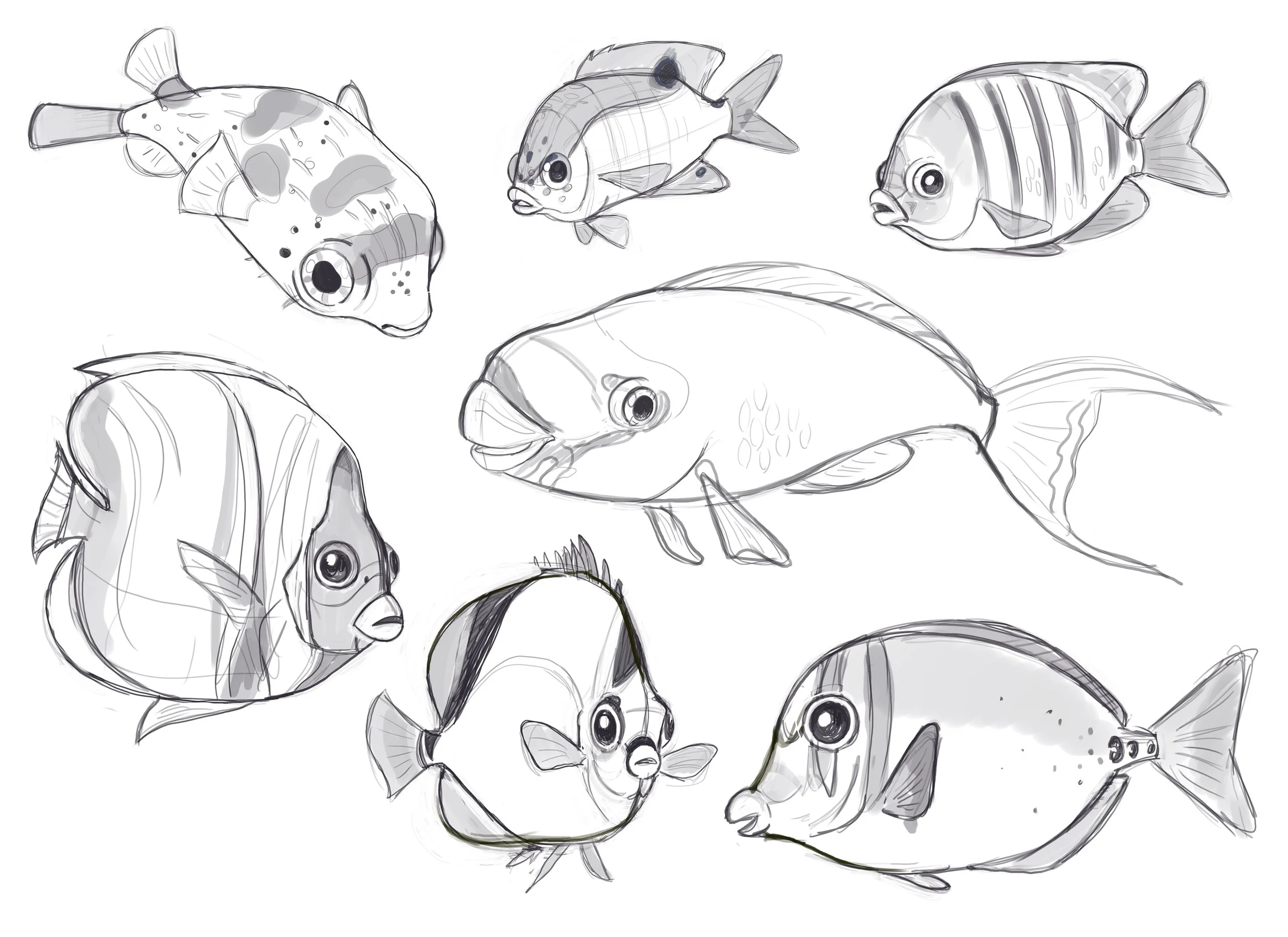 fish studies.jpg