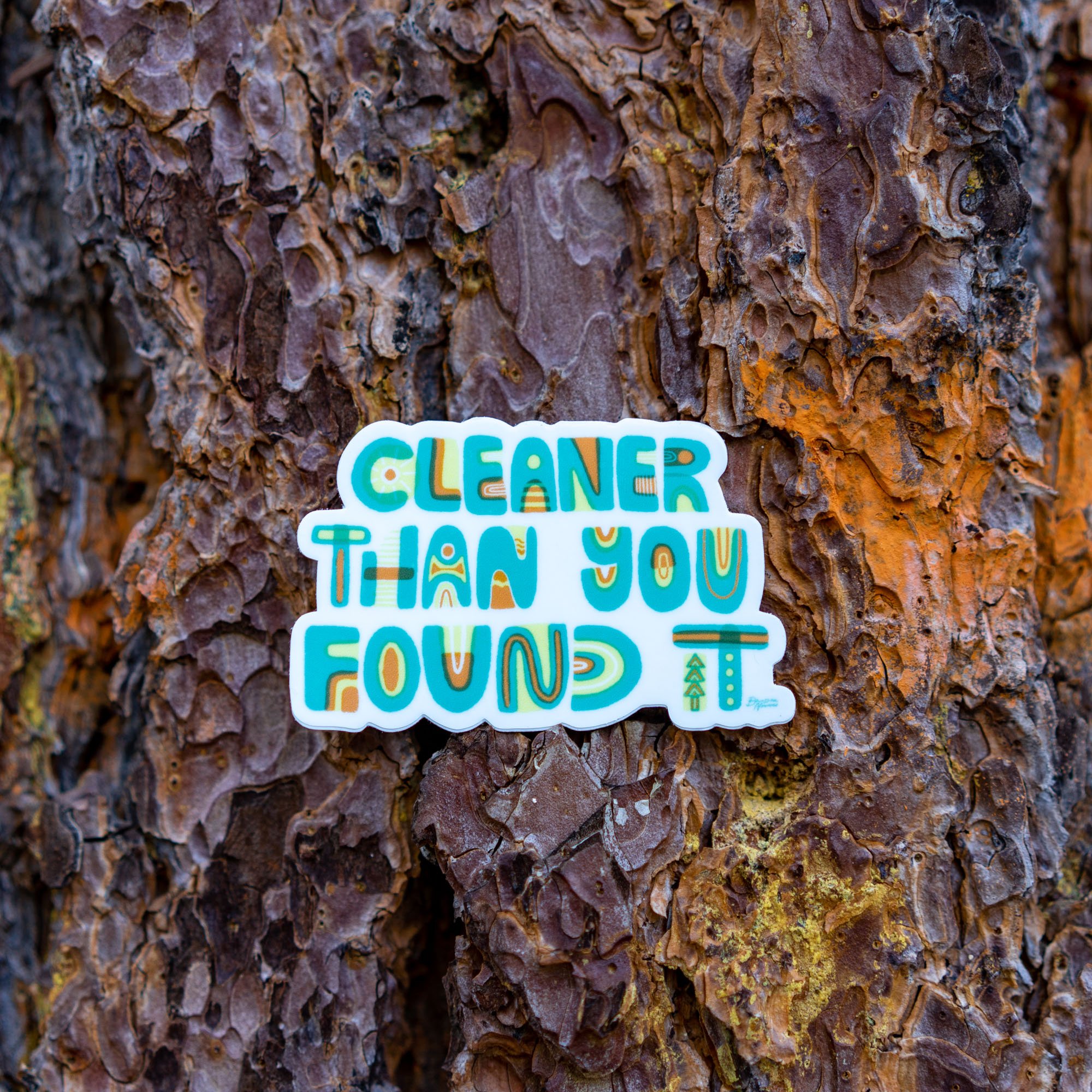 Cleaner_1.jpeg