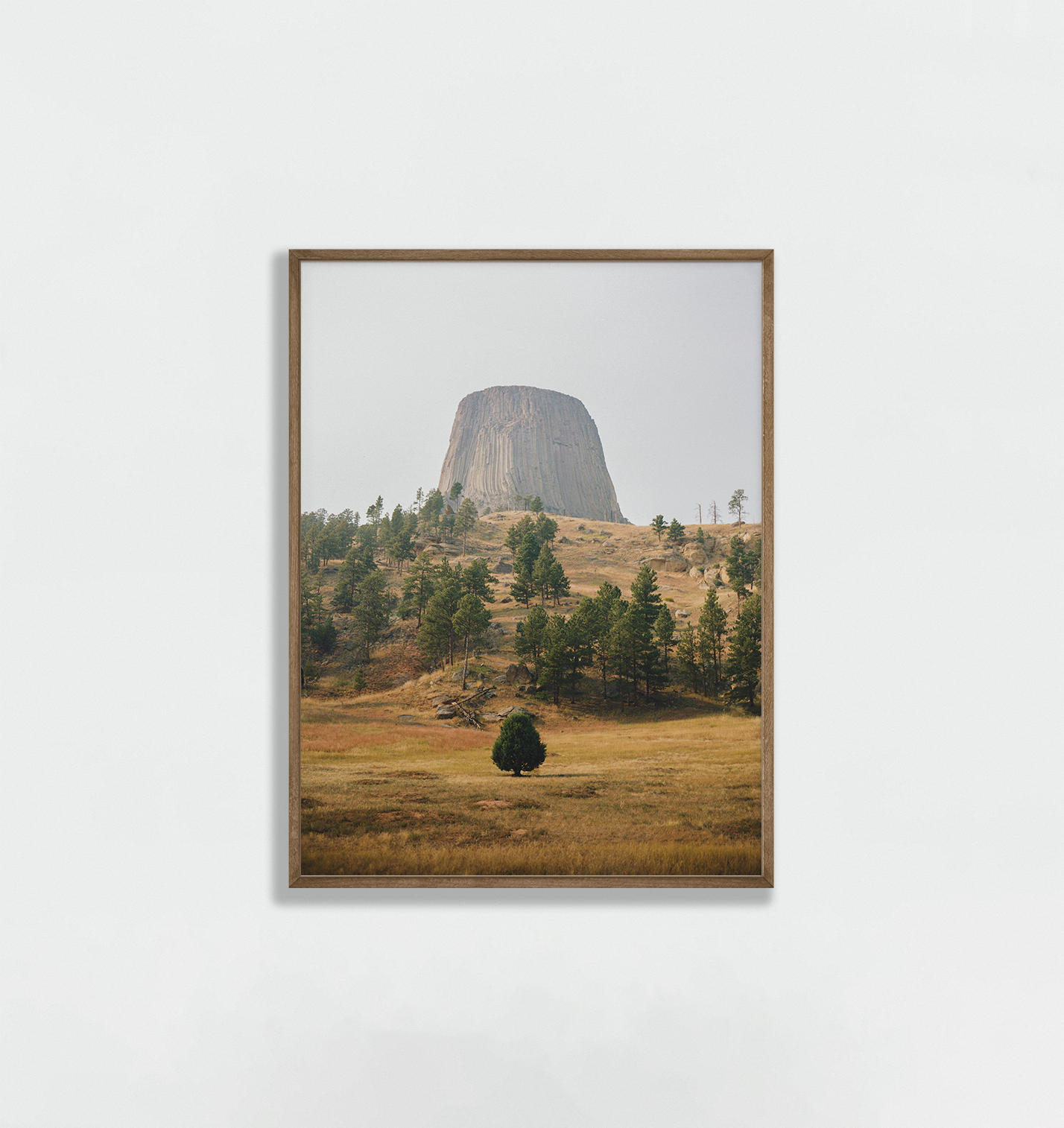 Devil's Tower