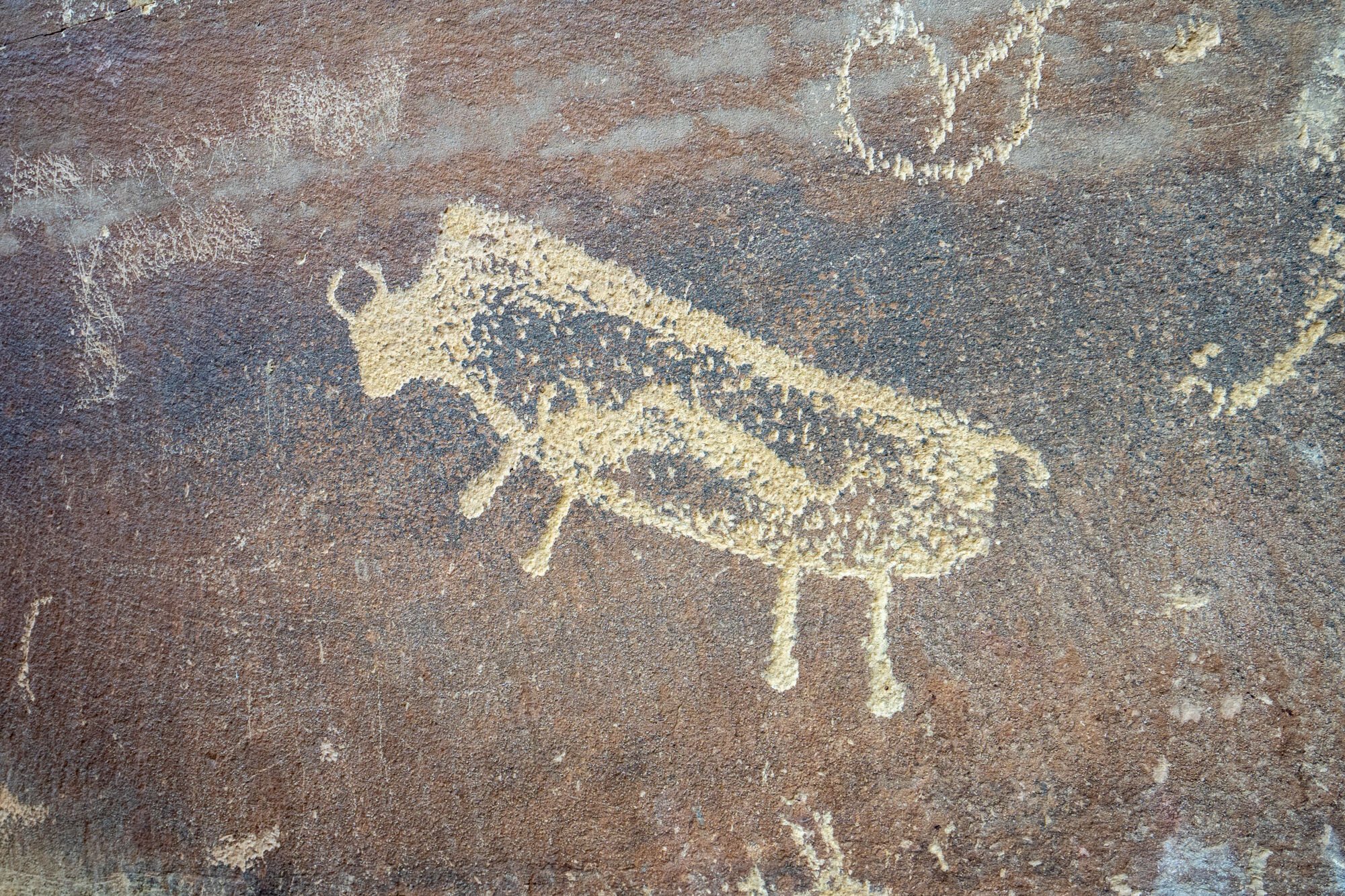 Pregnant Buffalo rock art