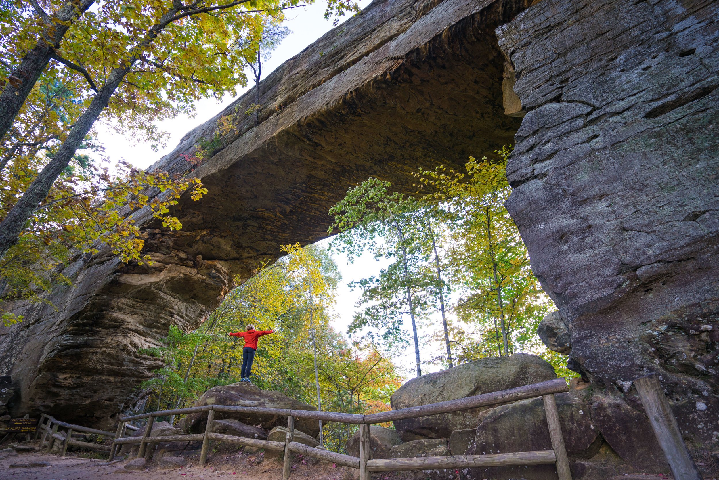  Natural Bridge  