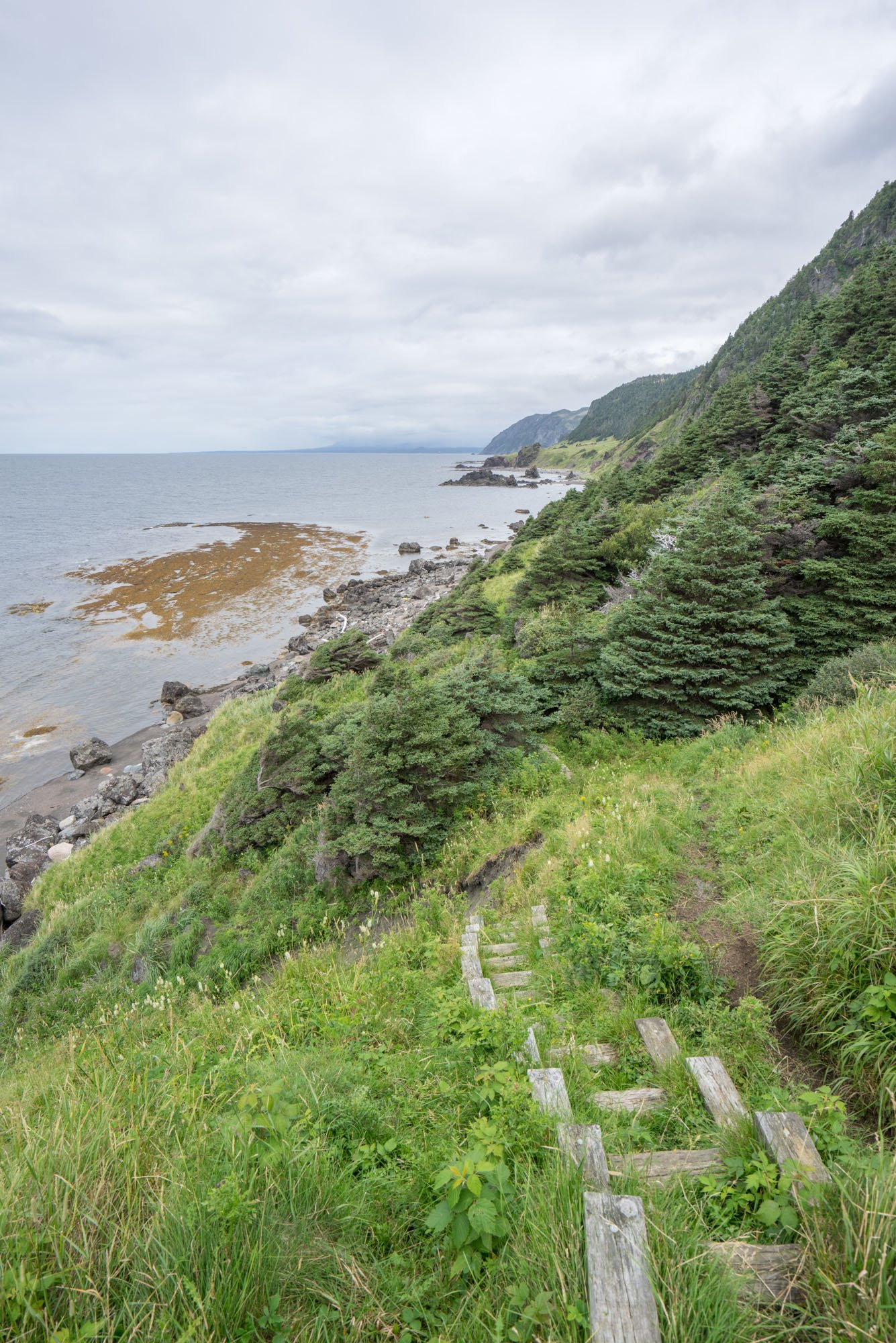  Where the Green Gardens Trail ends due to cliff-line erosion. 