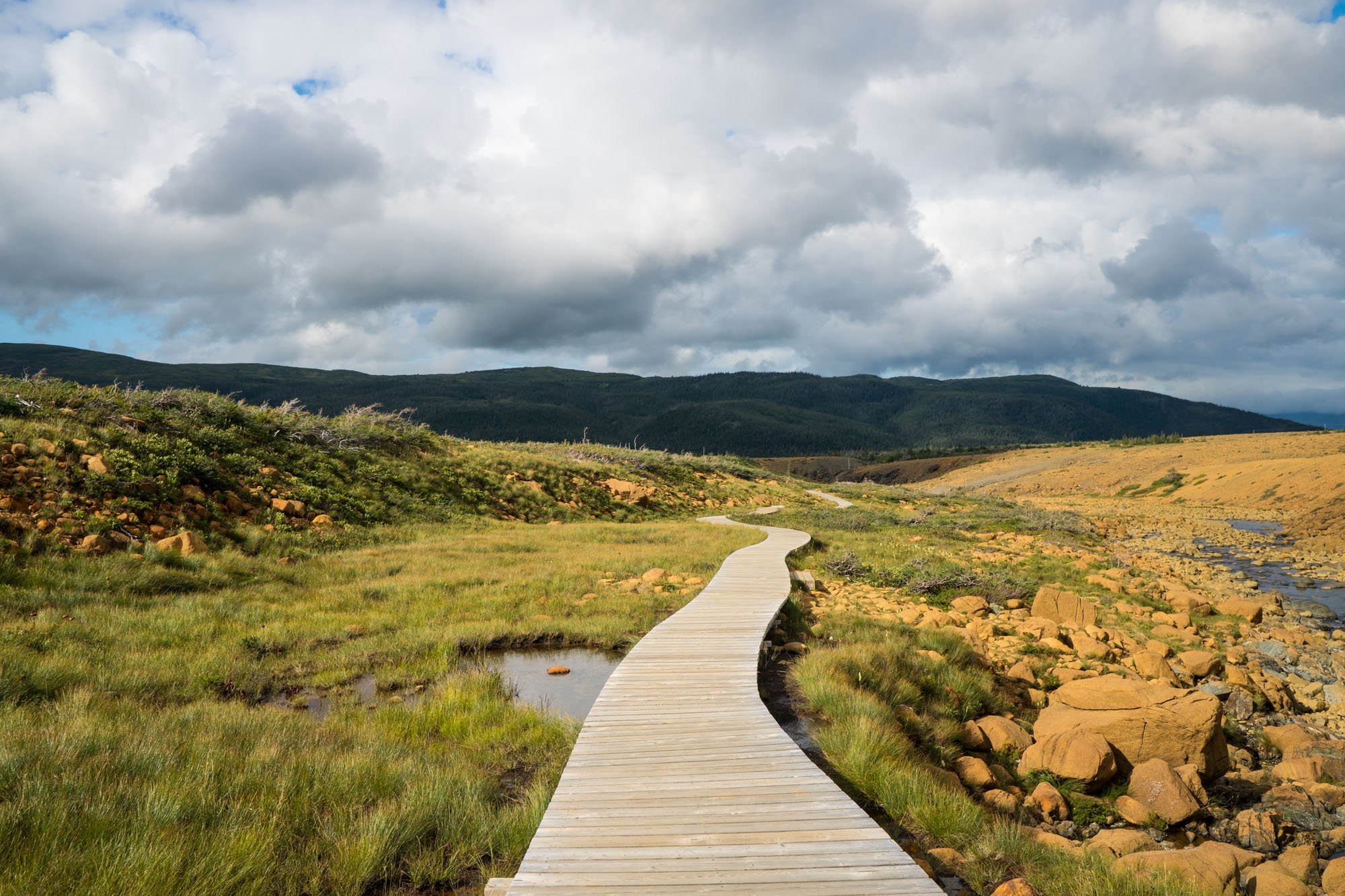  View looking out of the Tablelands 