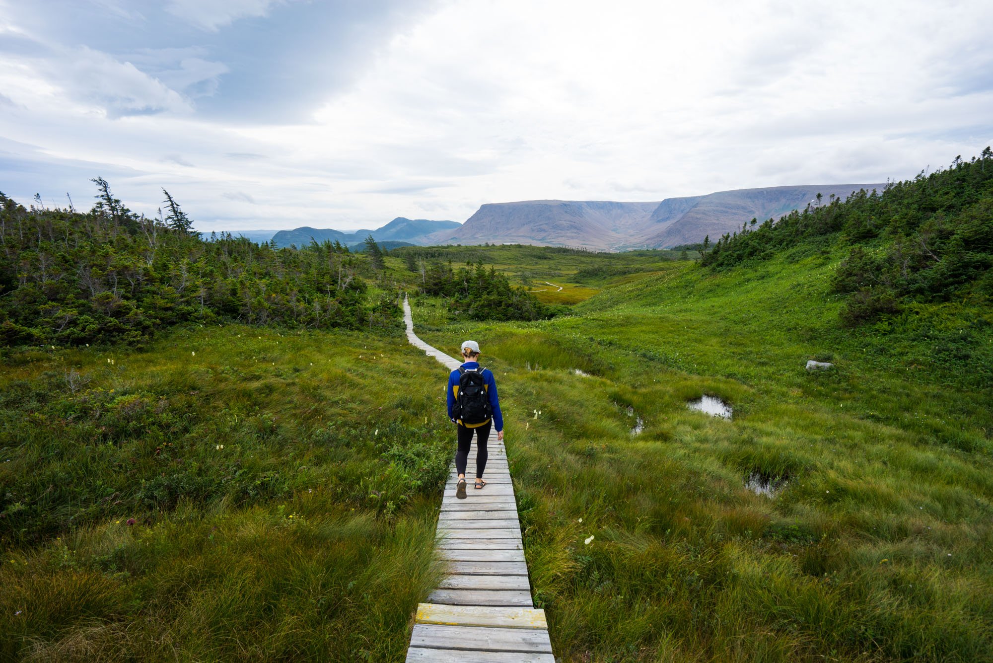  Heading down the boardwalk from the Lookout 