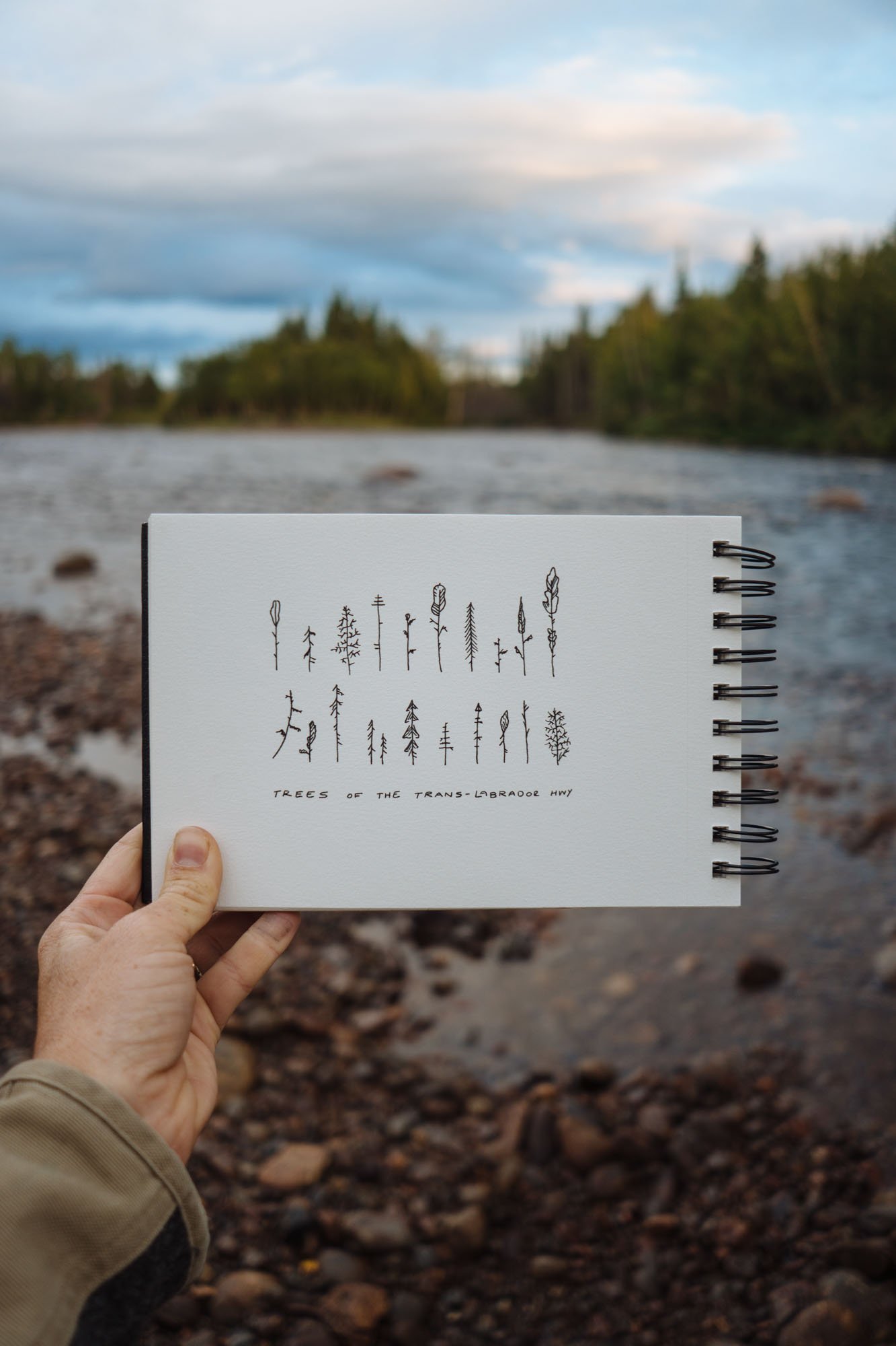  MAK’s illustration of the different trees growing near the HWY 