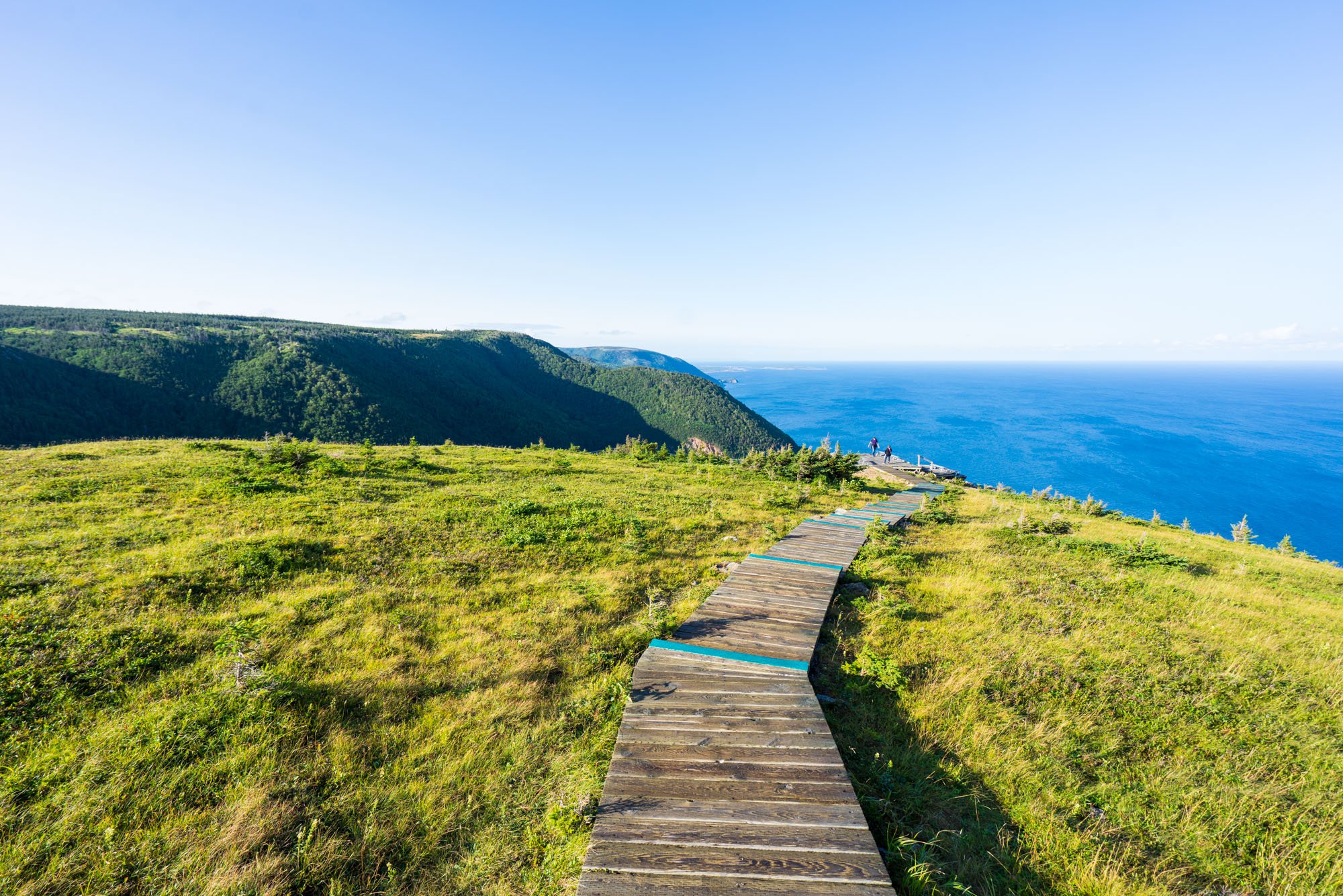  Boardwalk section of the Skyline Hike in Cape Breton, NP 