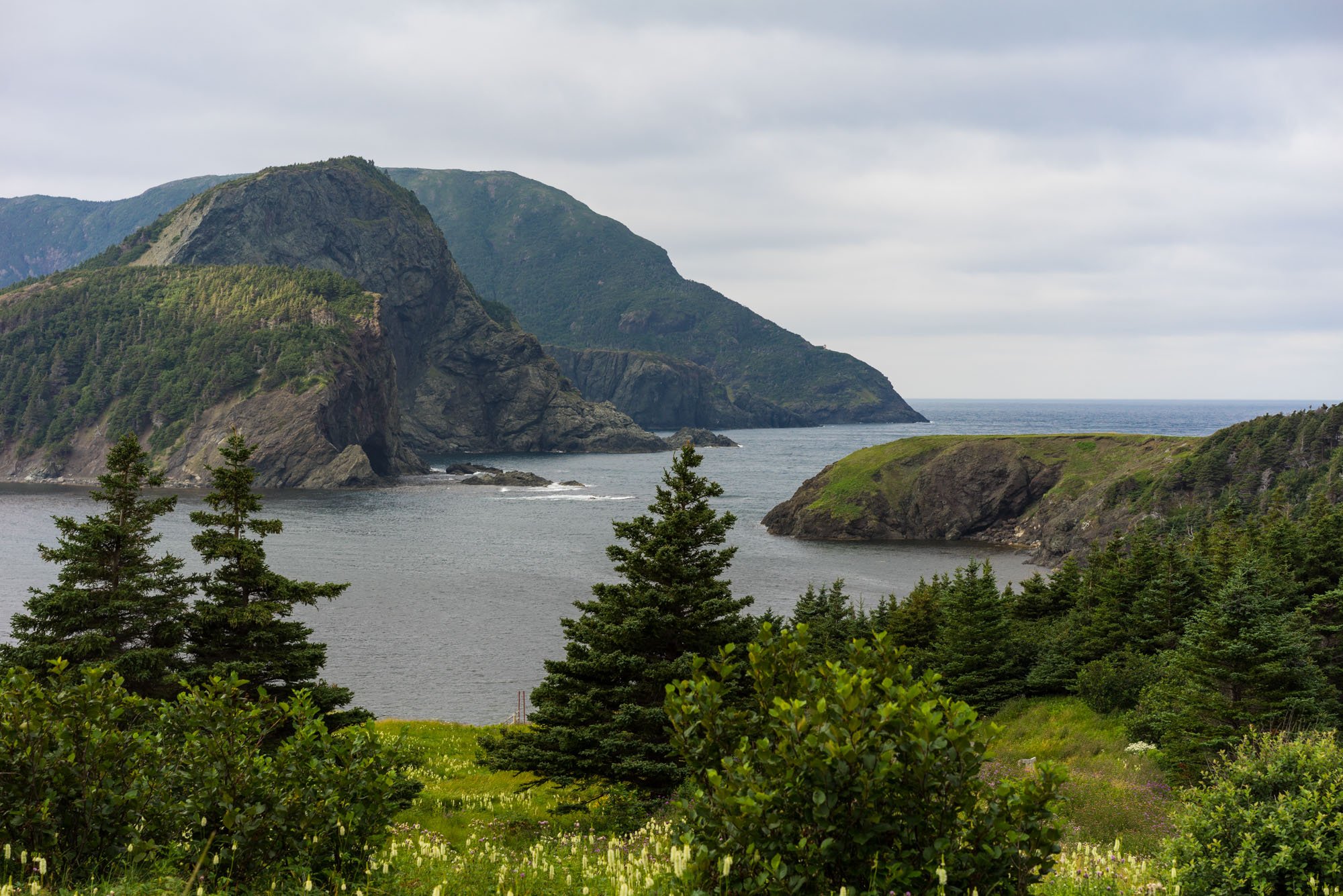  View of Bottle Cove 