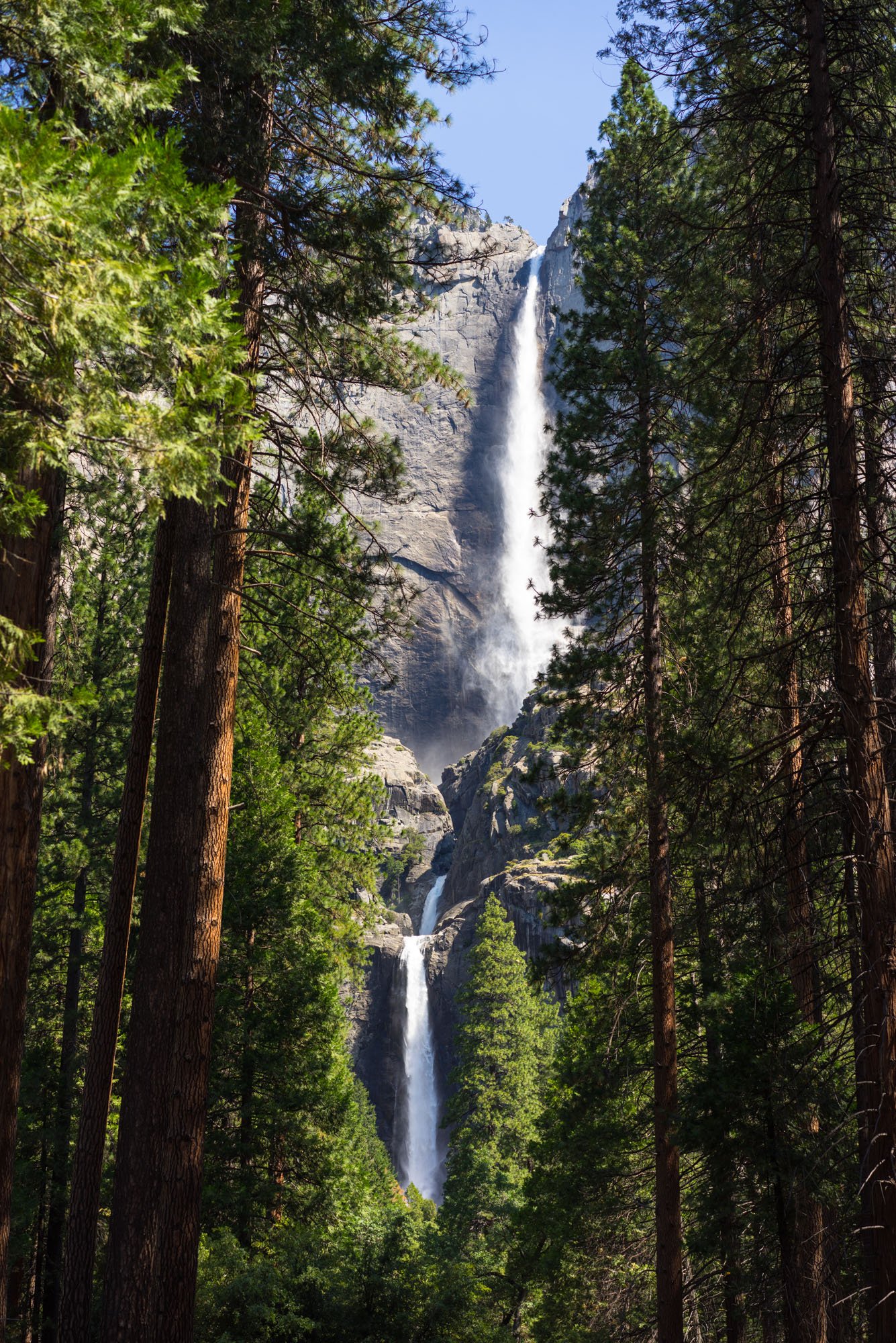 Yosemite, NP