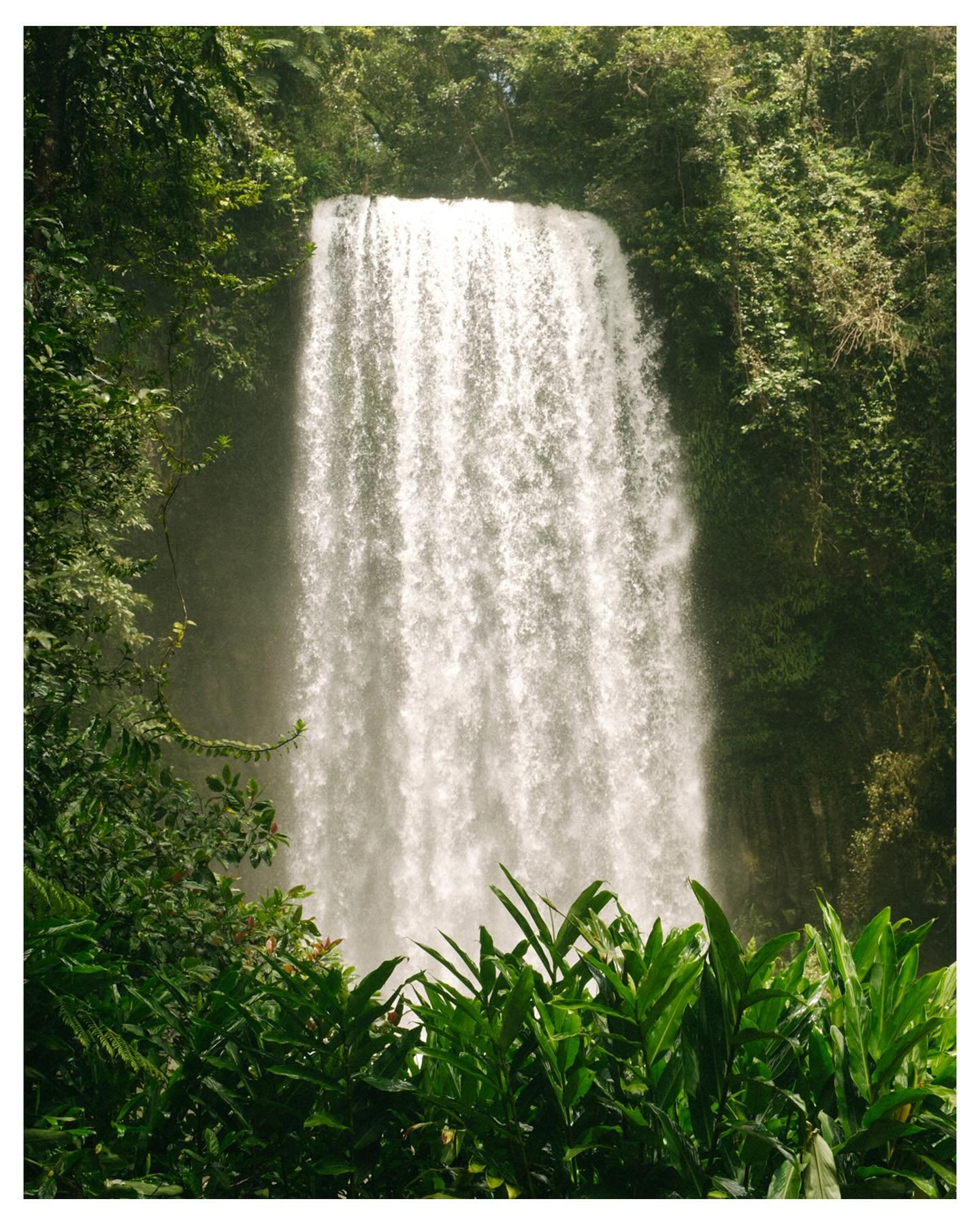 Chasing waterfalls | Queensland, Australia
The rainforest, particularly a tropical one, is such a foreign environment to us. We found so much fascination in the every detail and seeing life exist on every conceivable surface. Still struggling with ed
