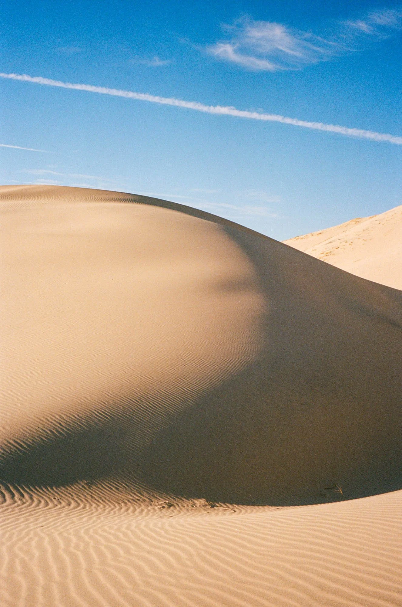 kodak_400_c_41_3781_111747_252598_002529480028.jpg