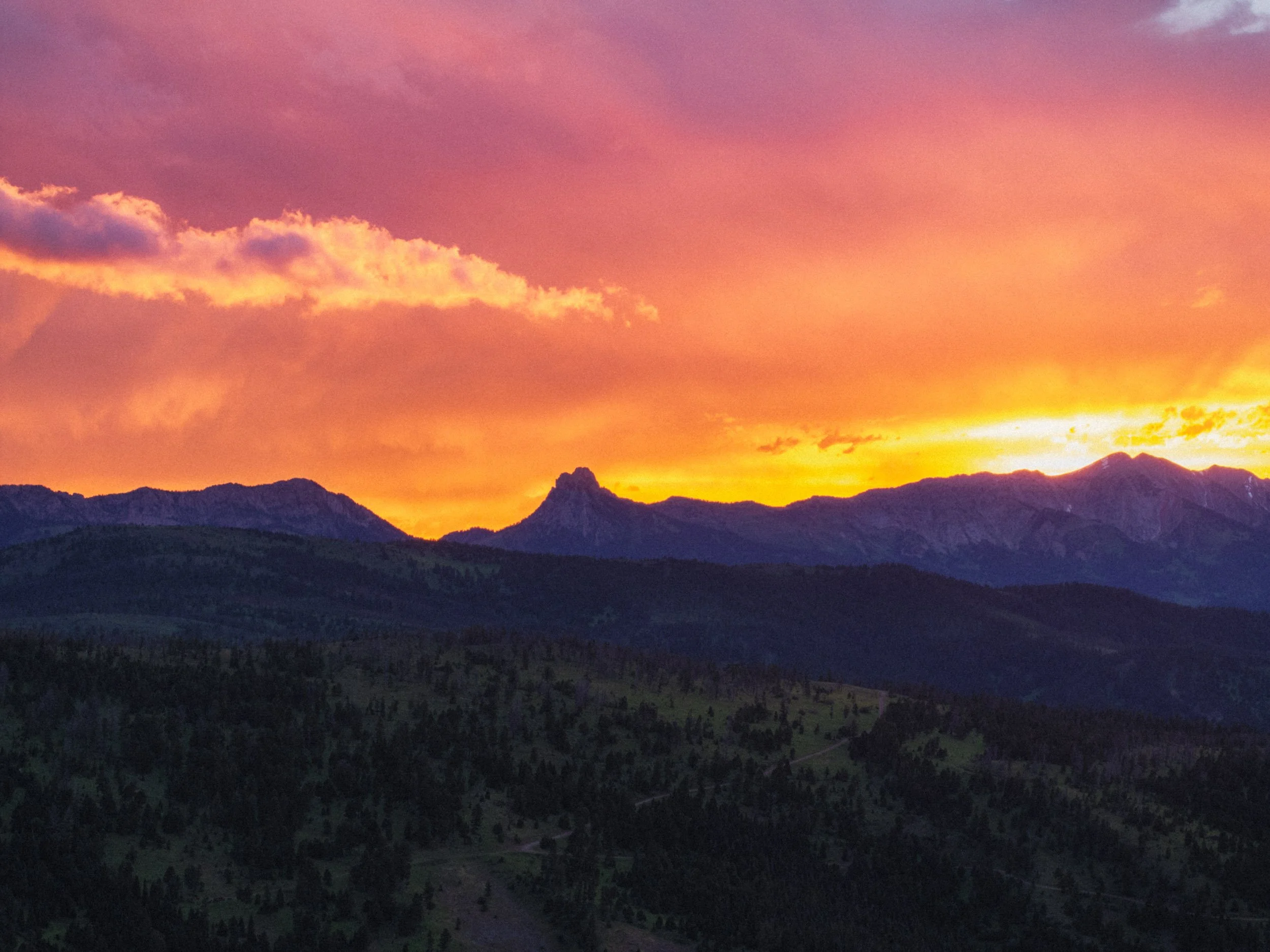 DJI_20260707164827_0130_D-HDR.jpg