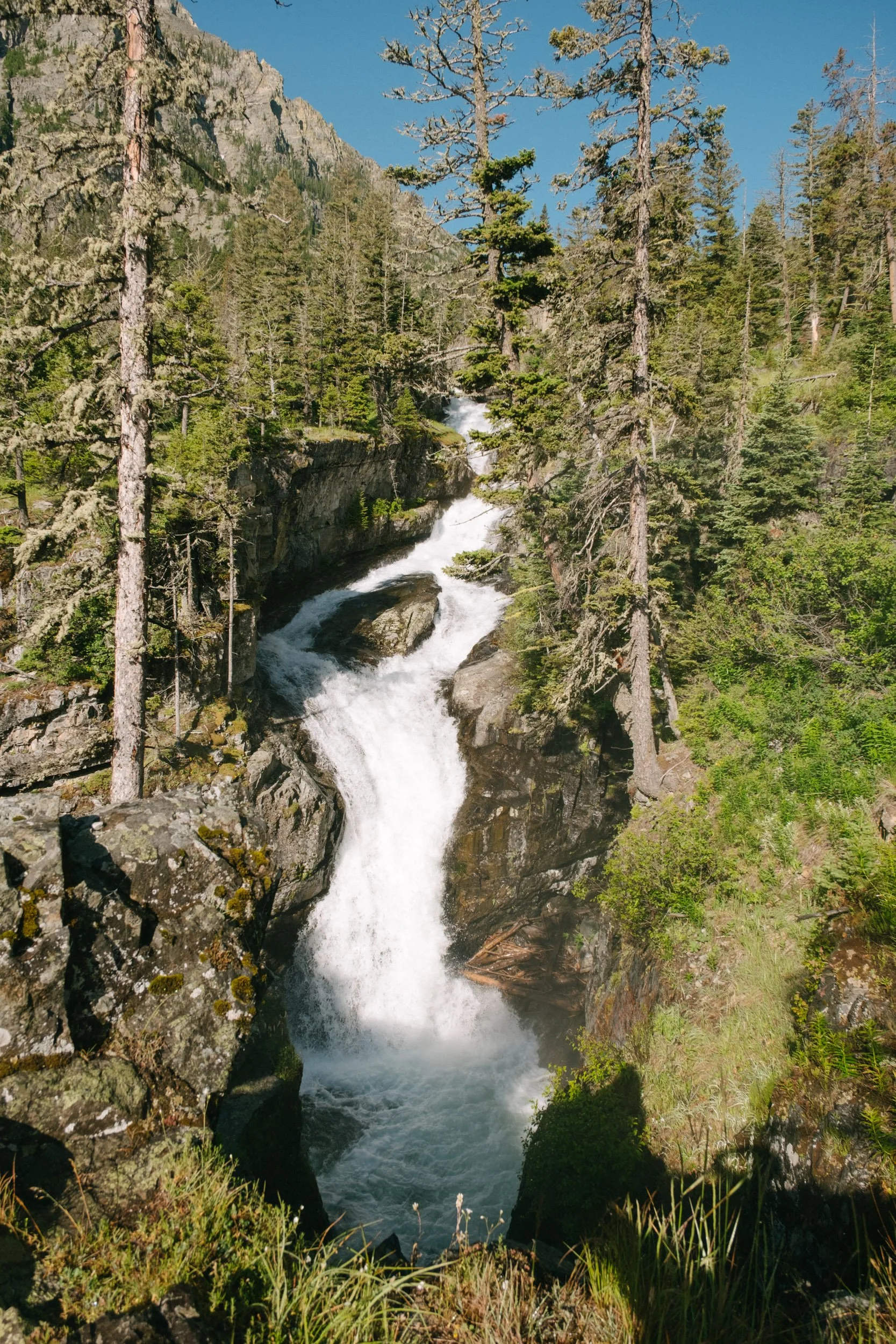 DSCF0292.jpg